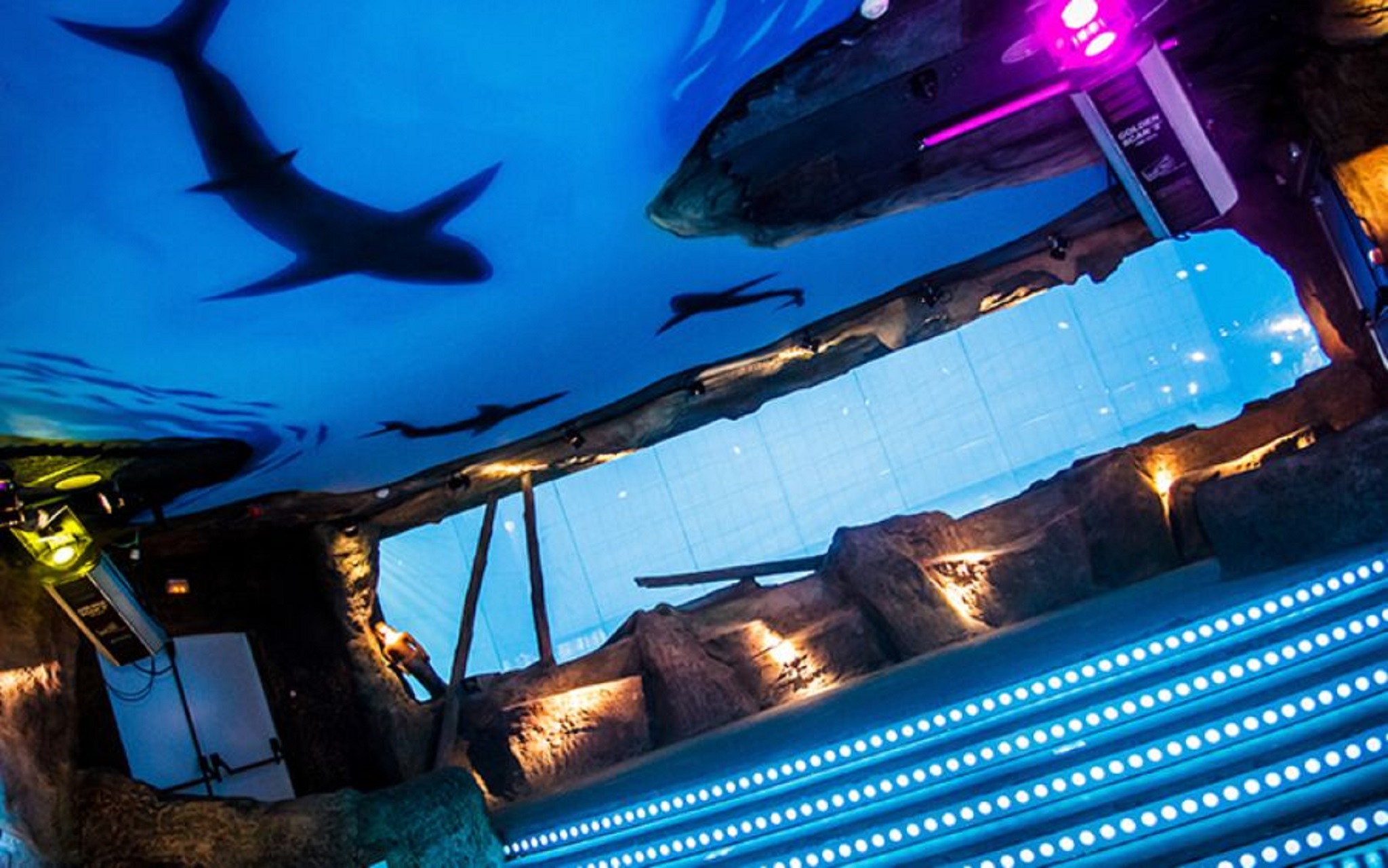 Sports and Entertainment