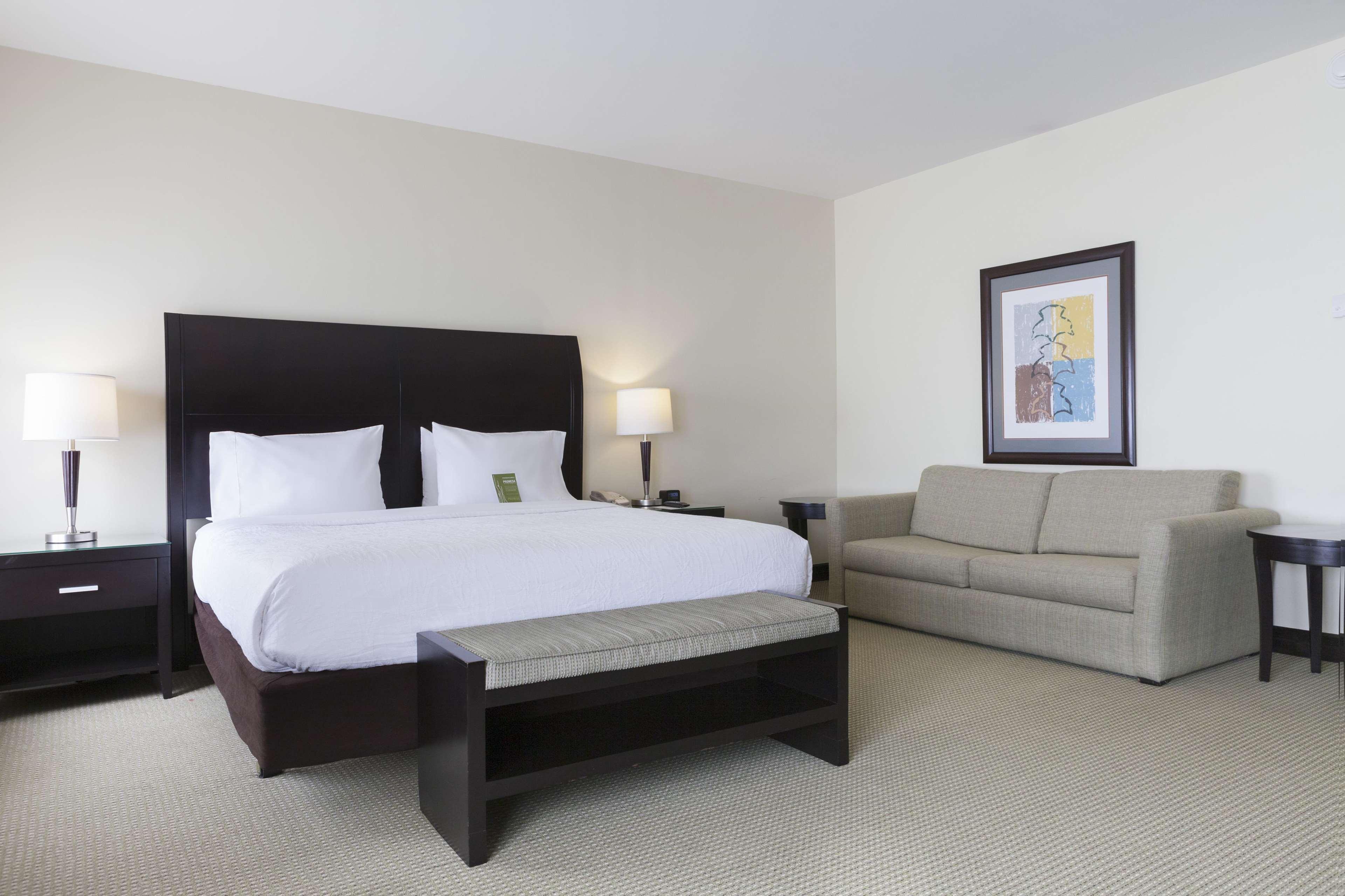 Suite King Bed One Bedroom 