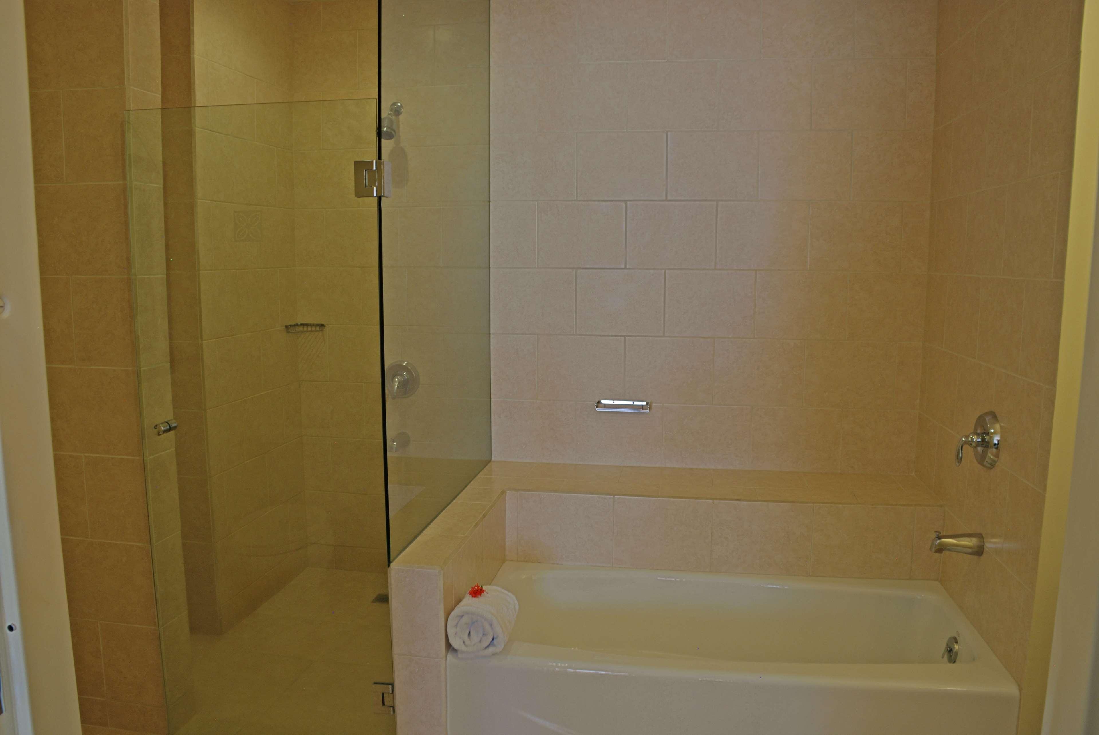 Suite King Bed One Bedroom 