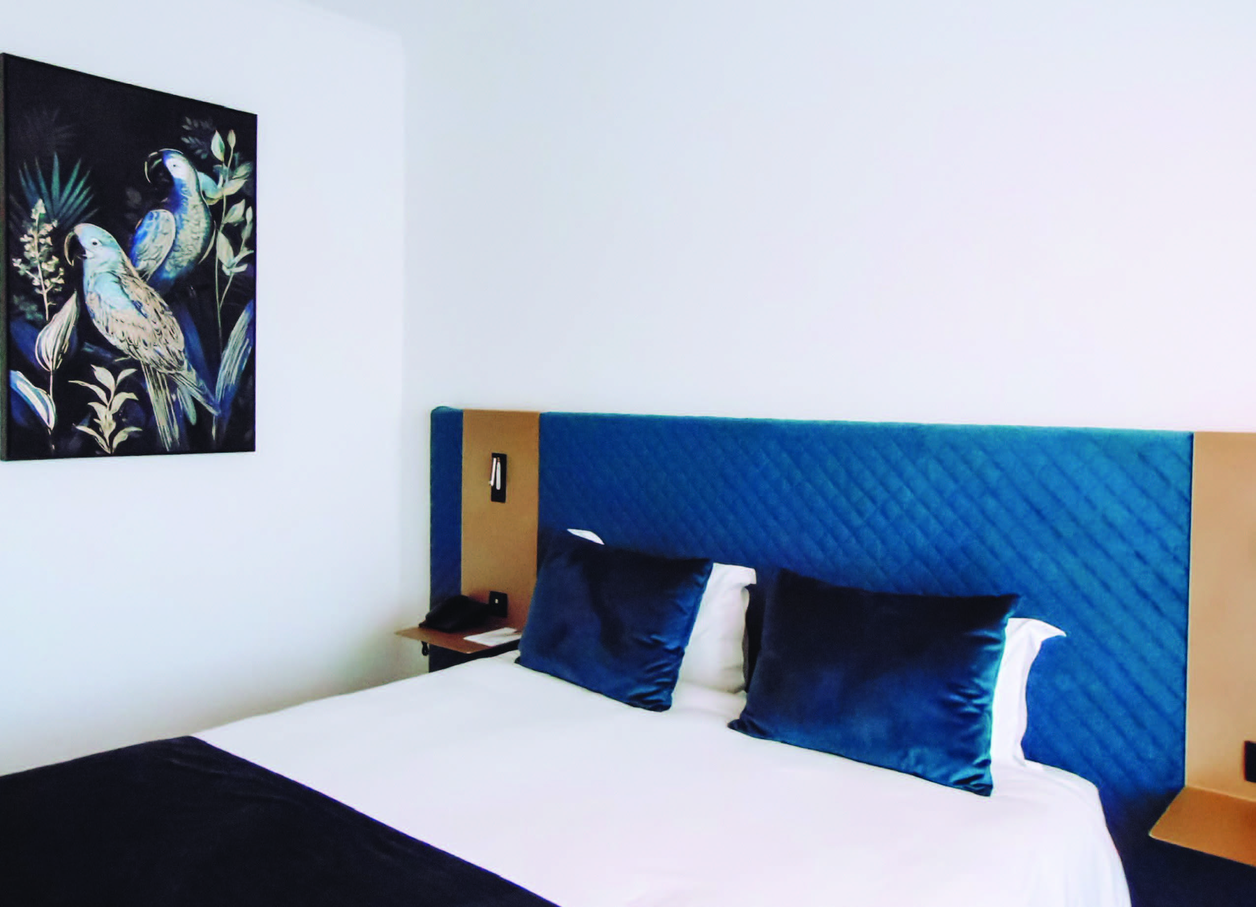 Double or Twin Superior