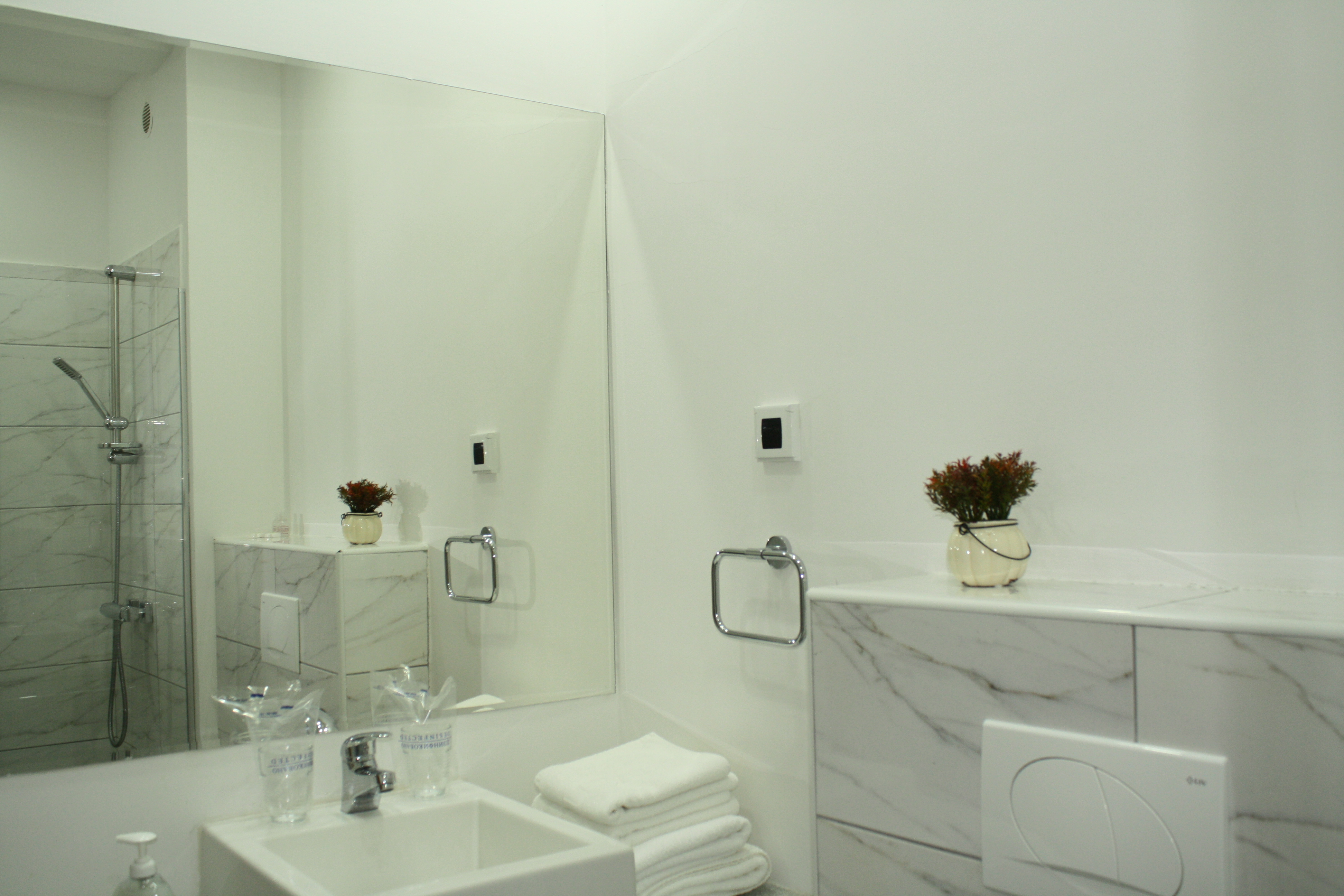 Double or Twin Standard