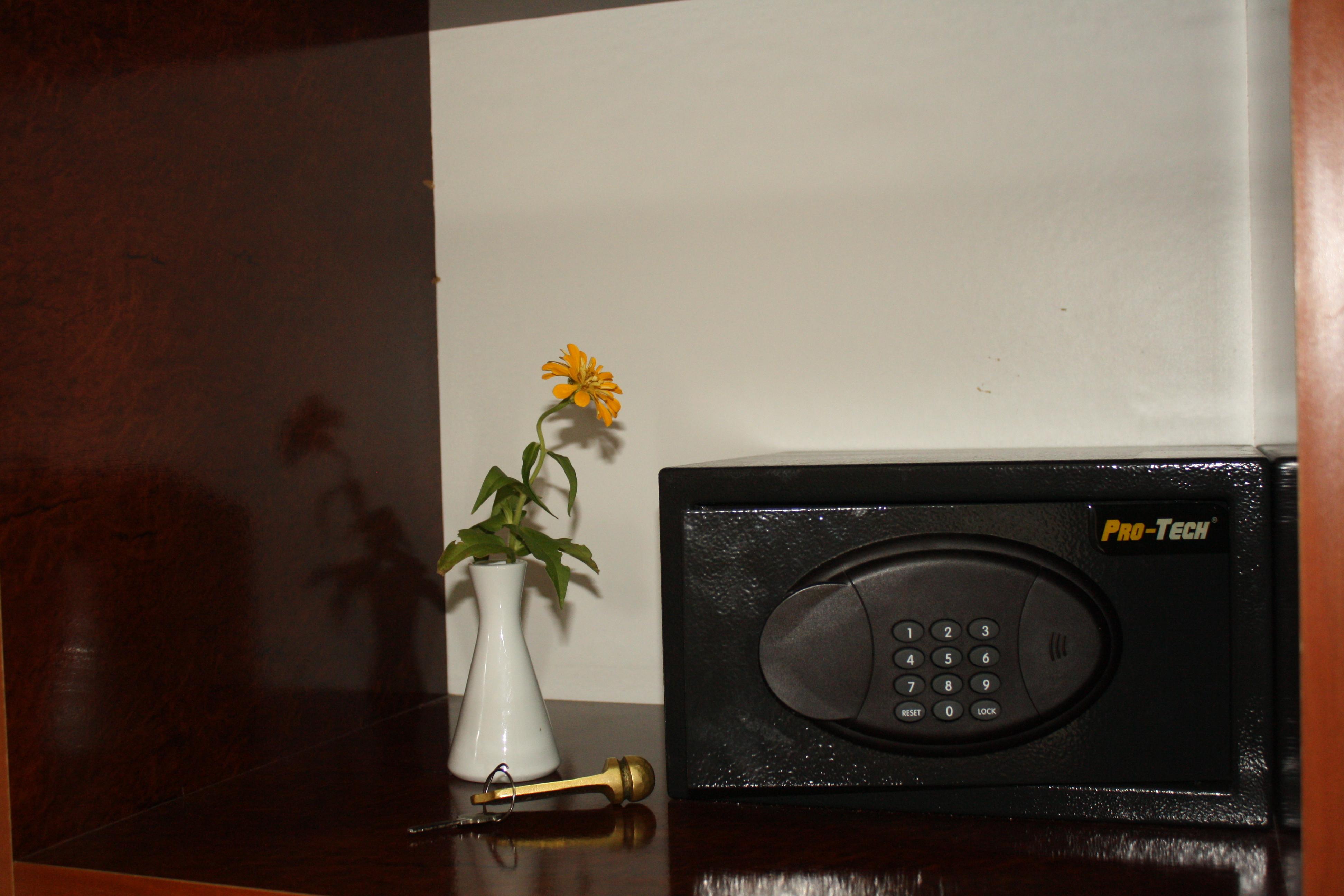 Double or Twin Standard