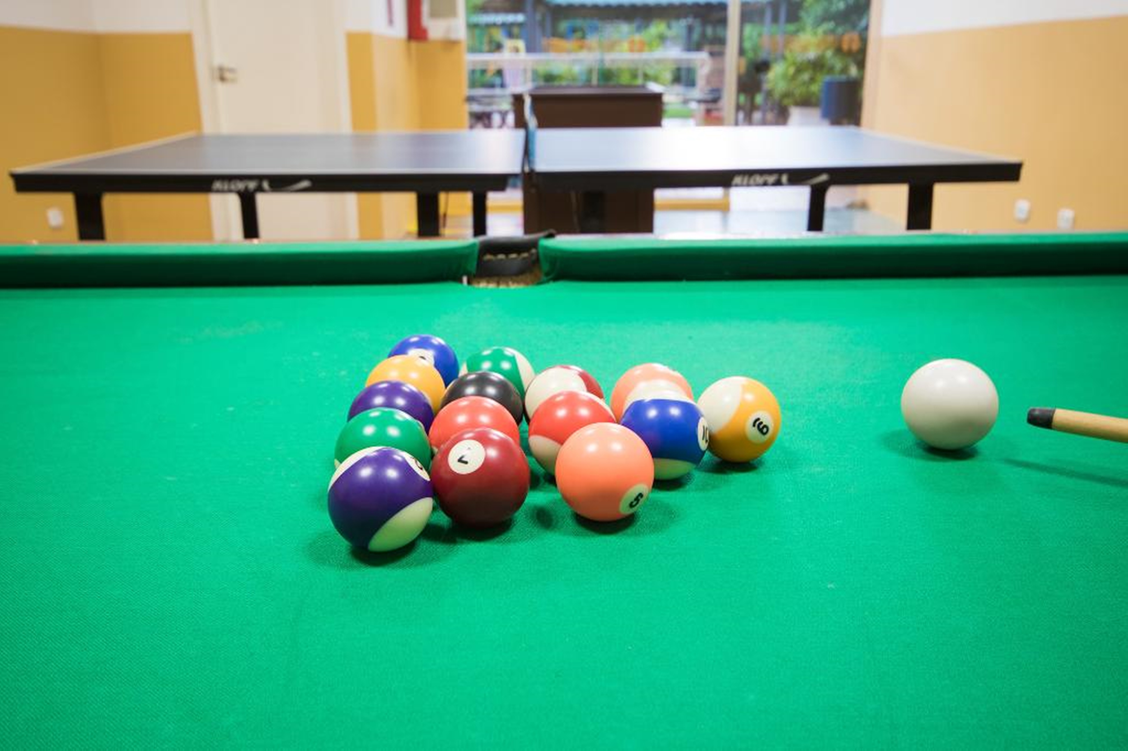 Sports and Entertainment