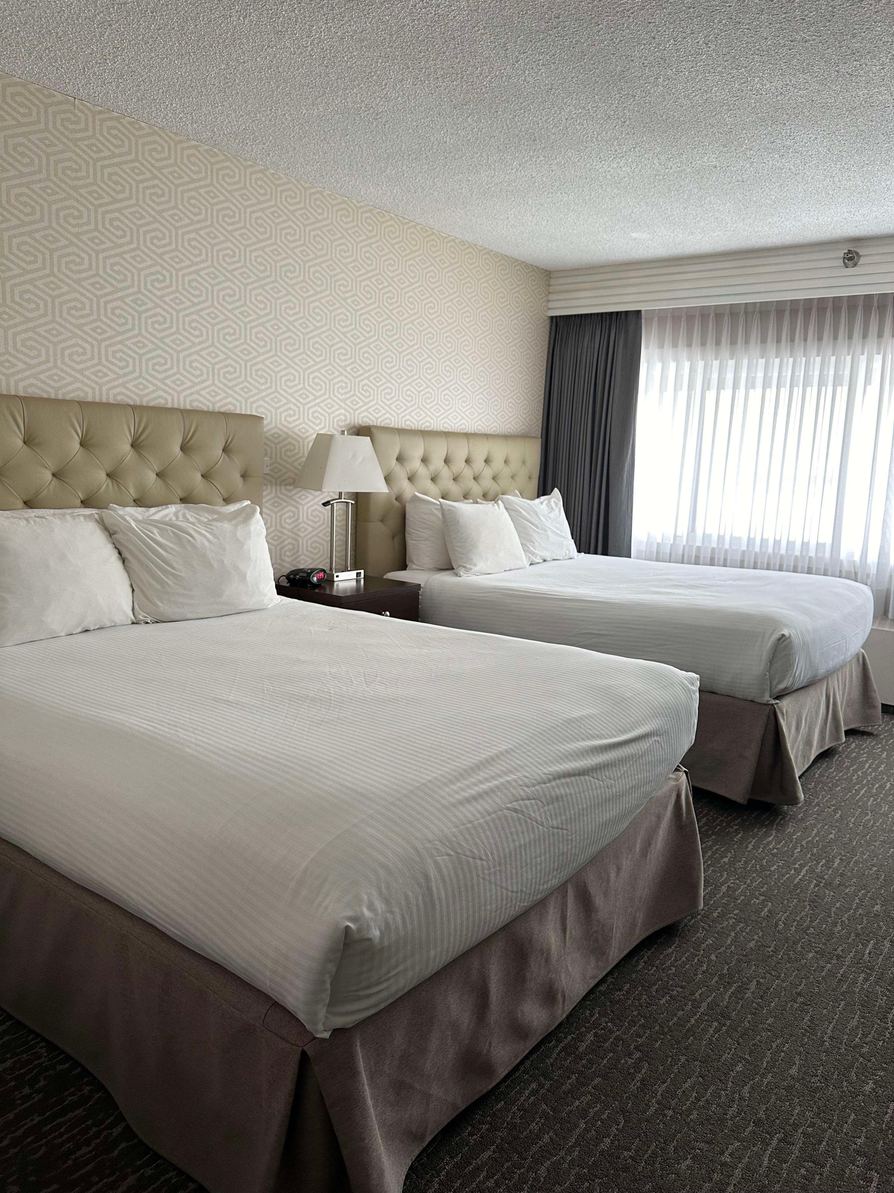 Double Executive Queen Bed