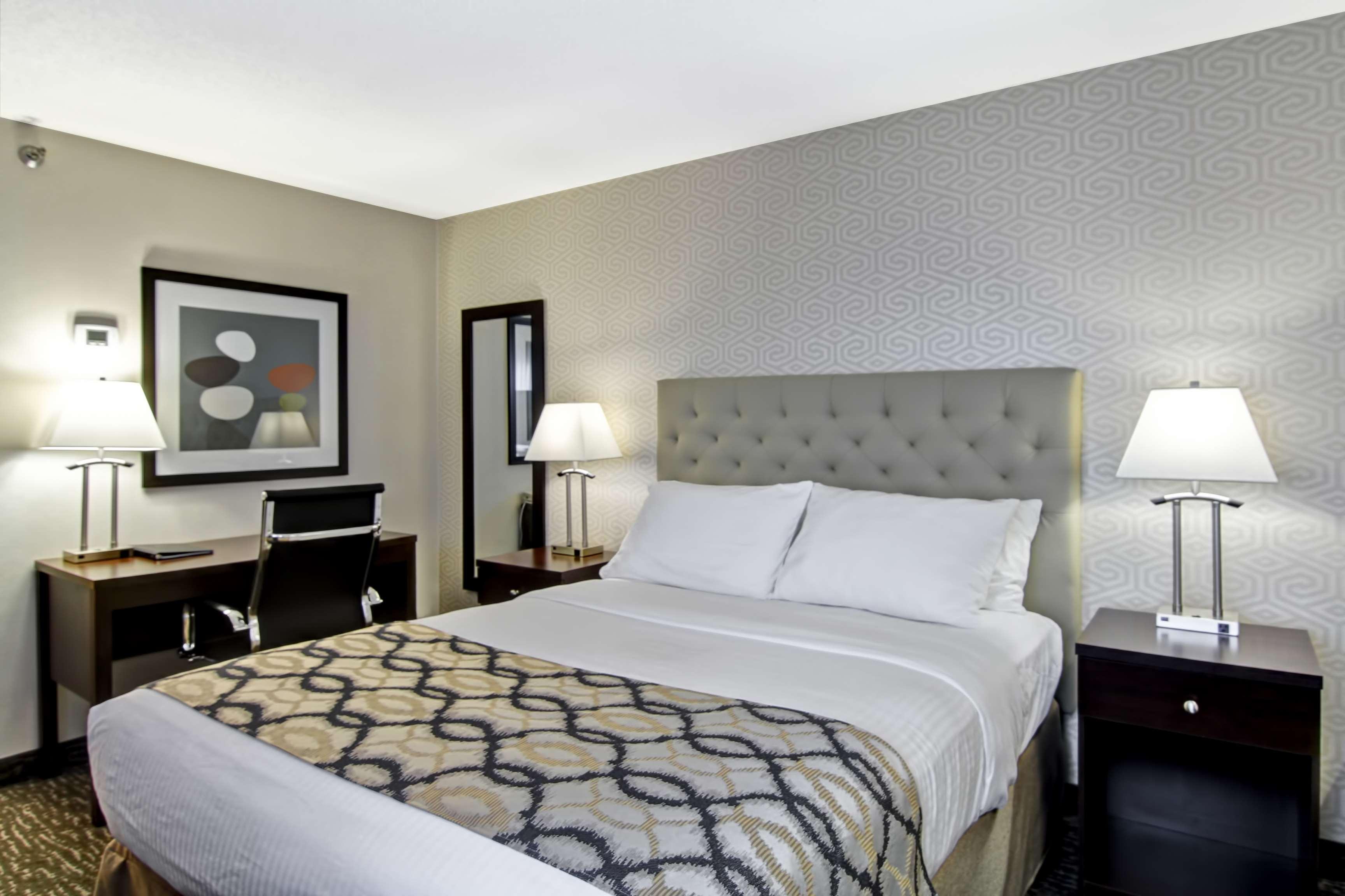 Suite King Bed Non Smoking