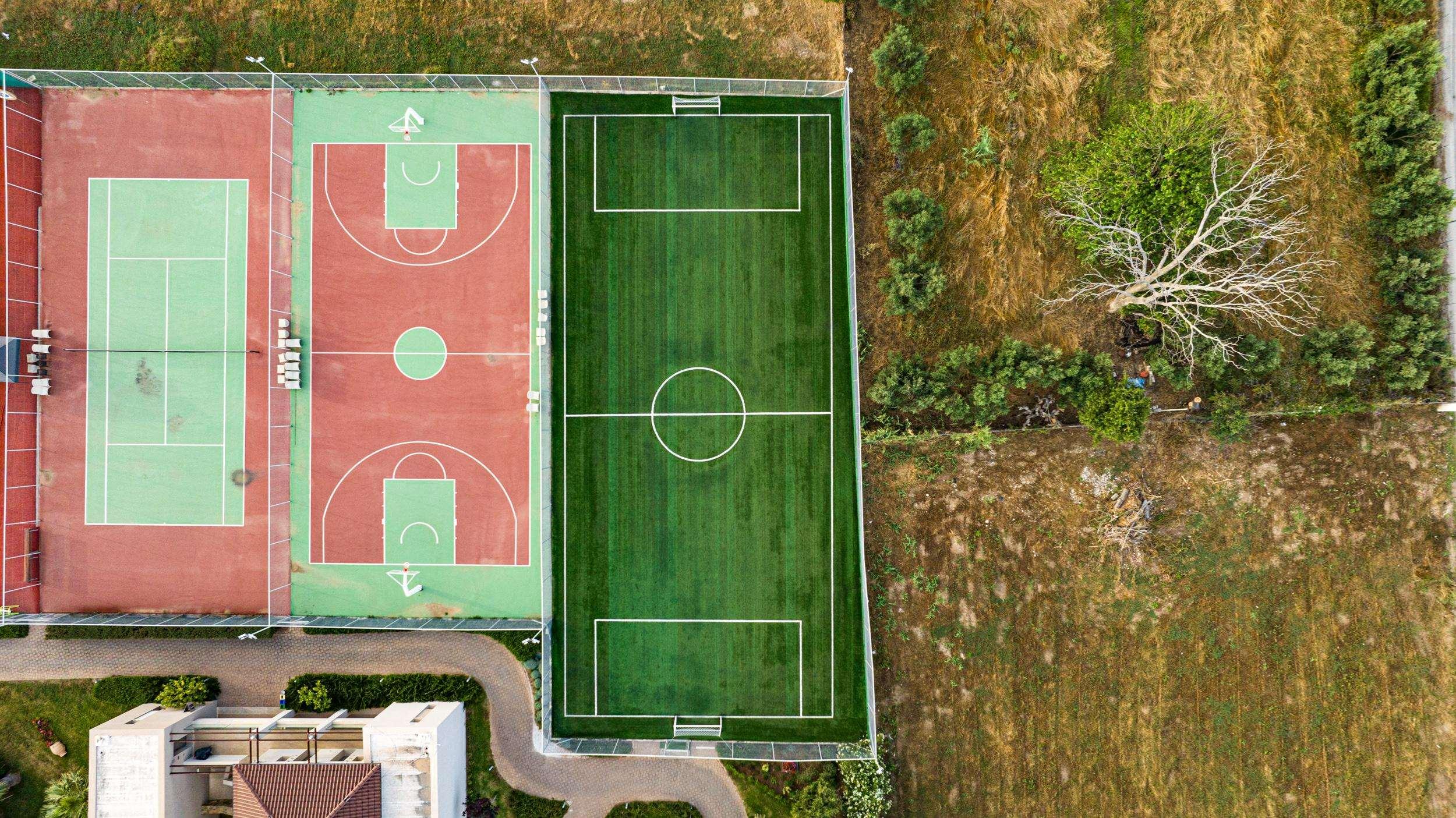 Sports and Entertainment