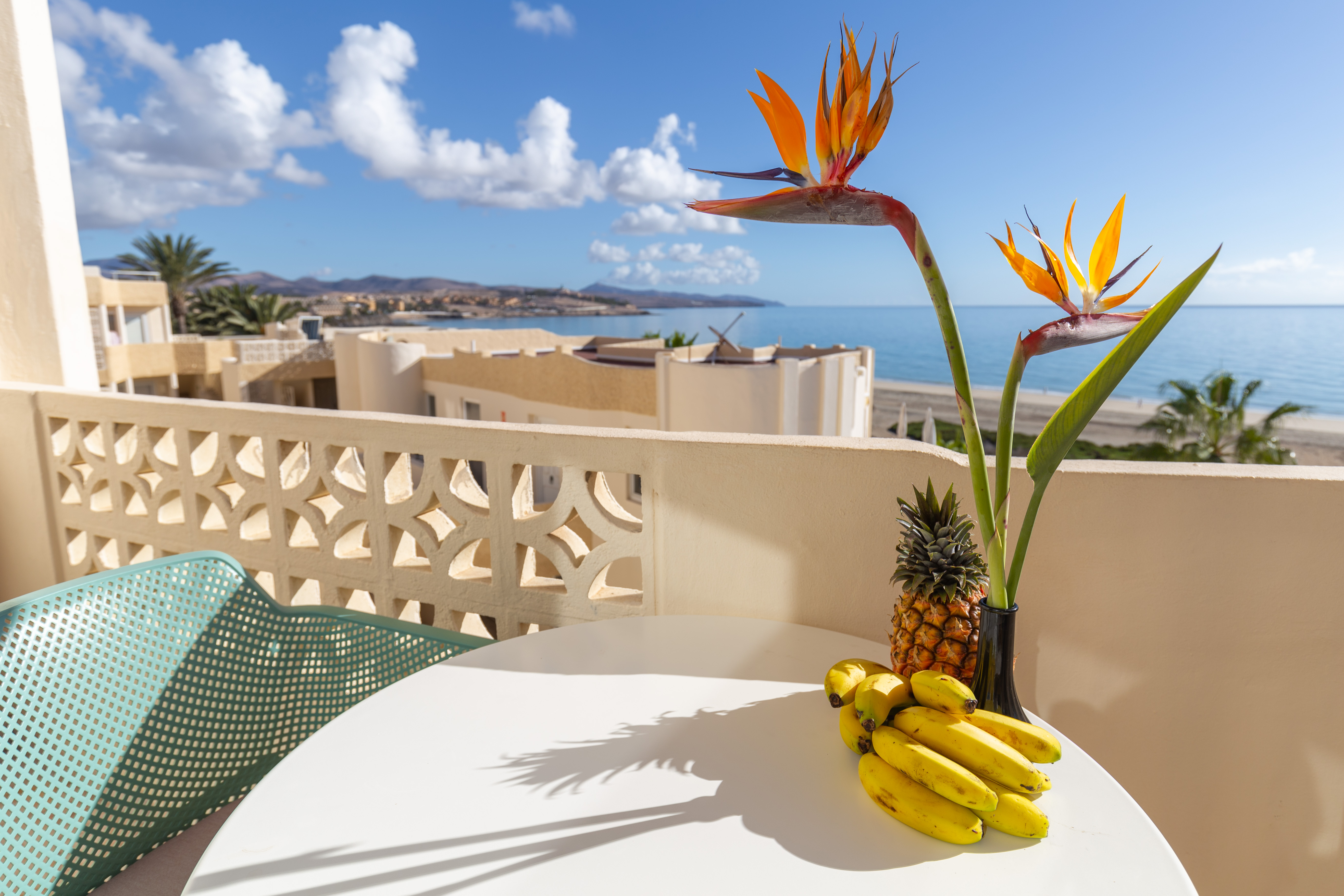 Apartment Classic Sea View