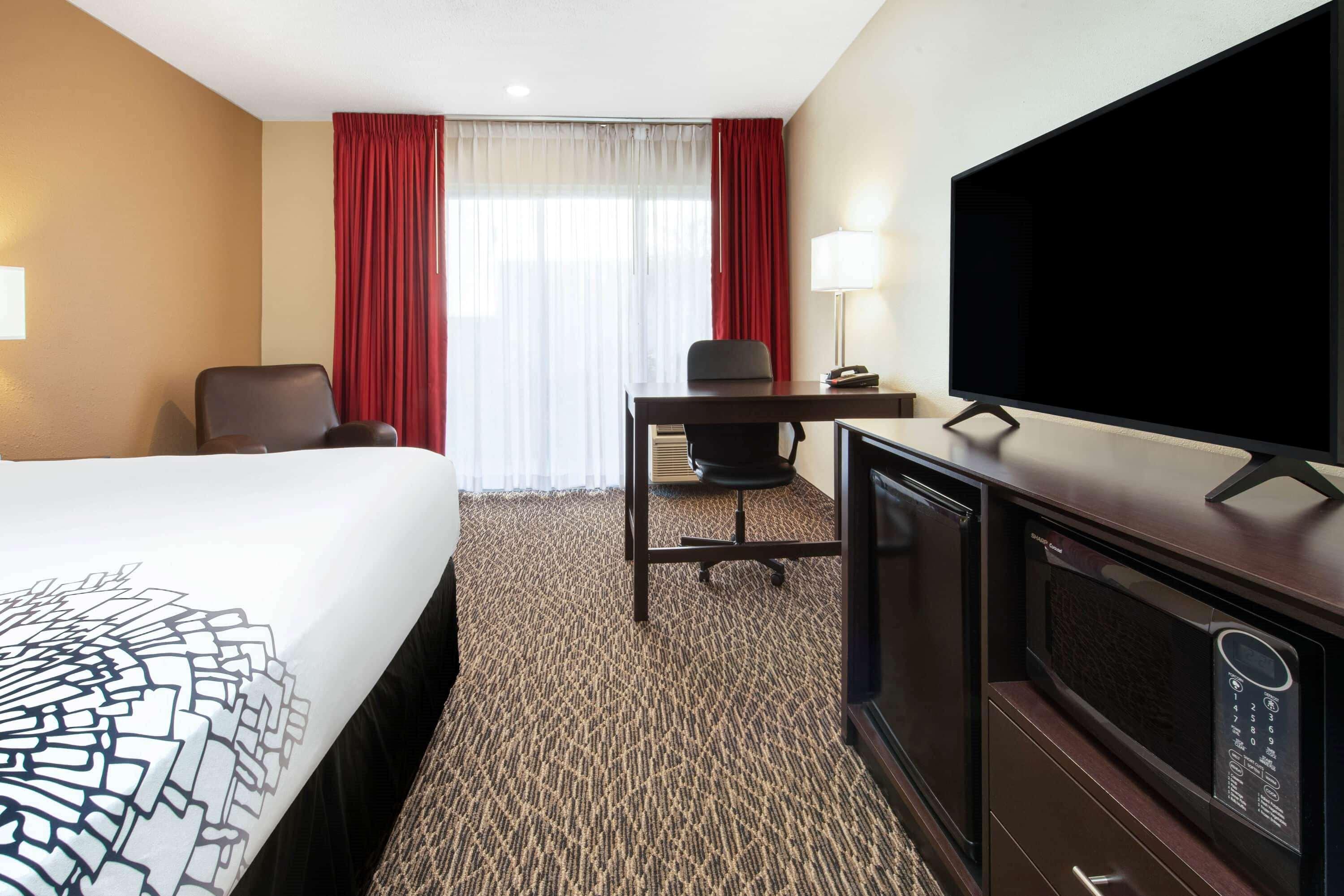 Room King Bed Non Smoking