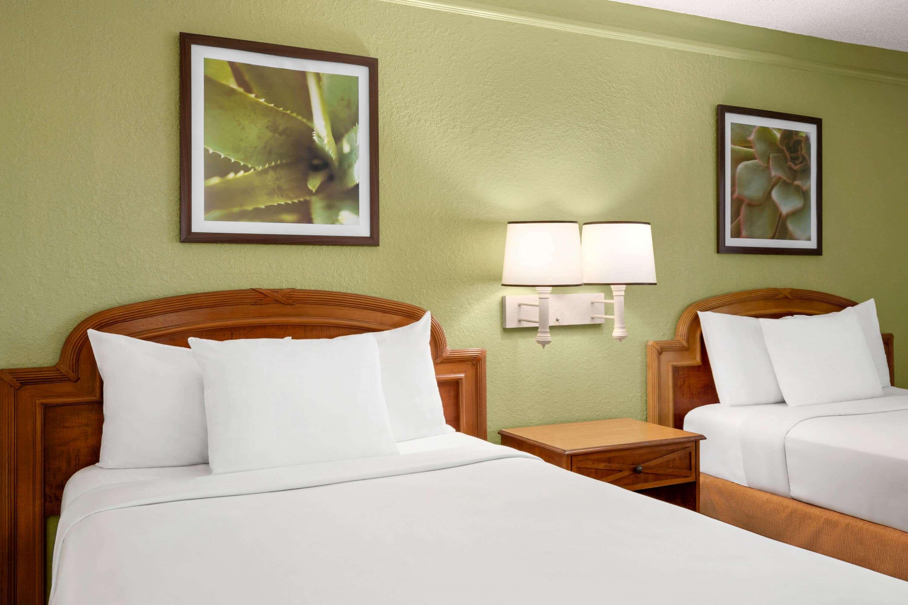 Room Two Double Beds