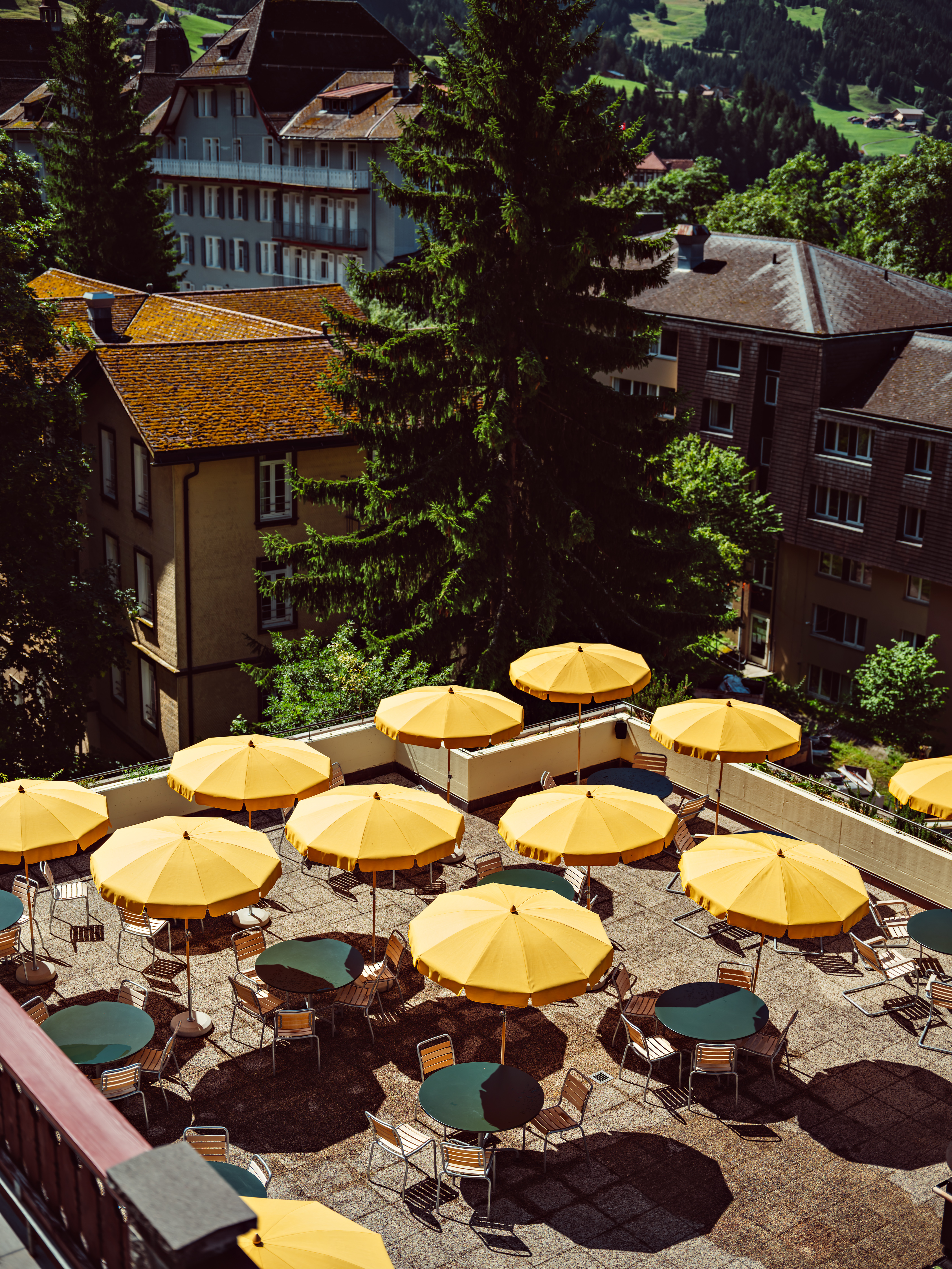 Terrace