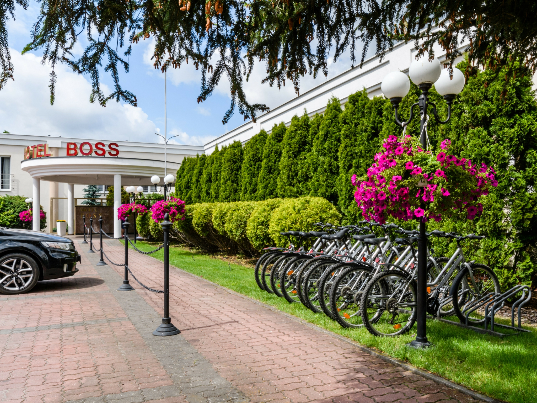 Sports and Entertainment