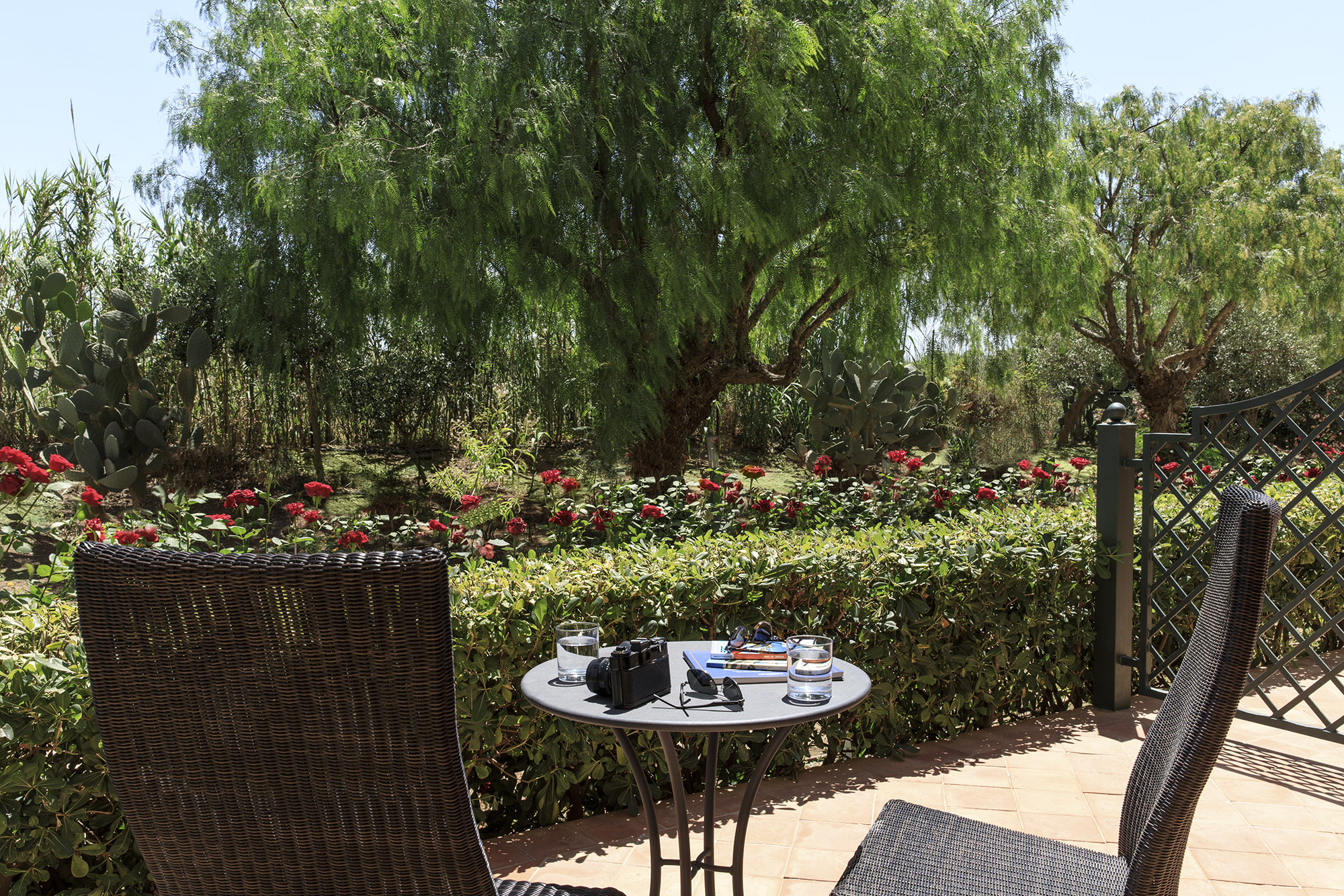 Double Single Superior with Terrace