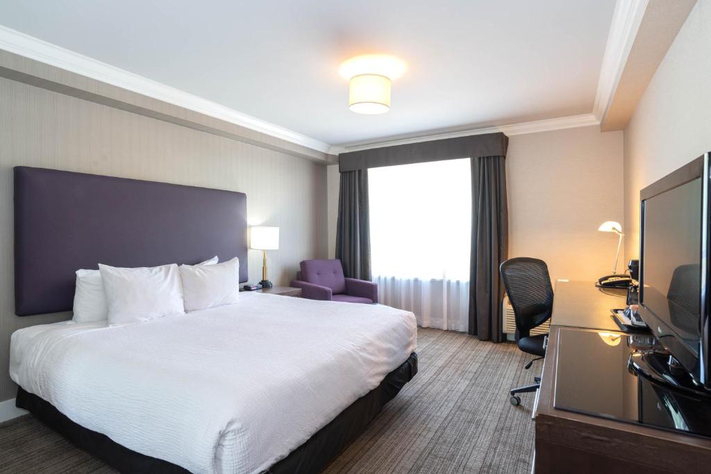 Suite King Size Bed