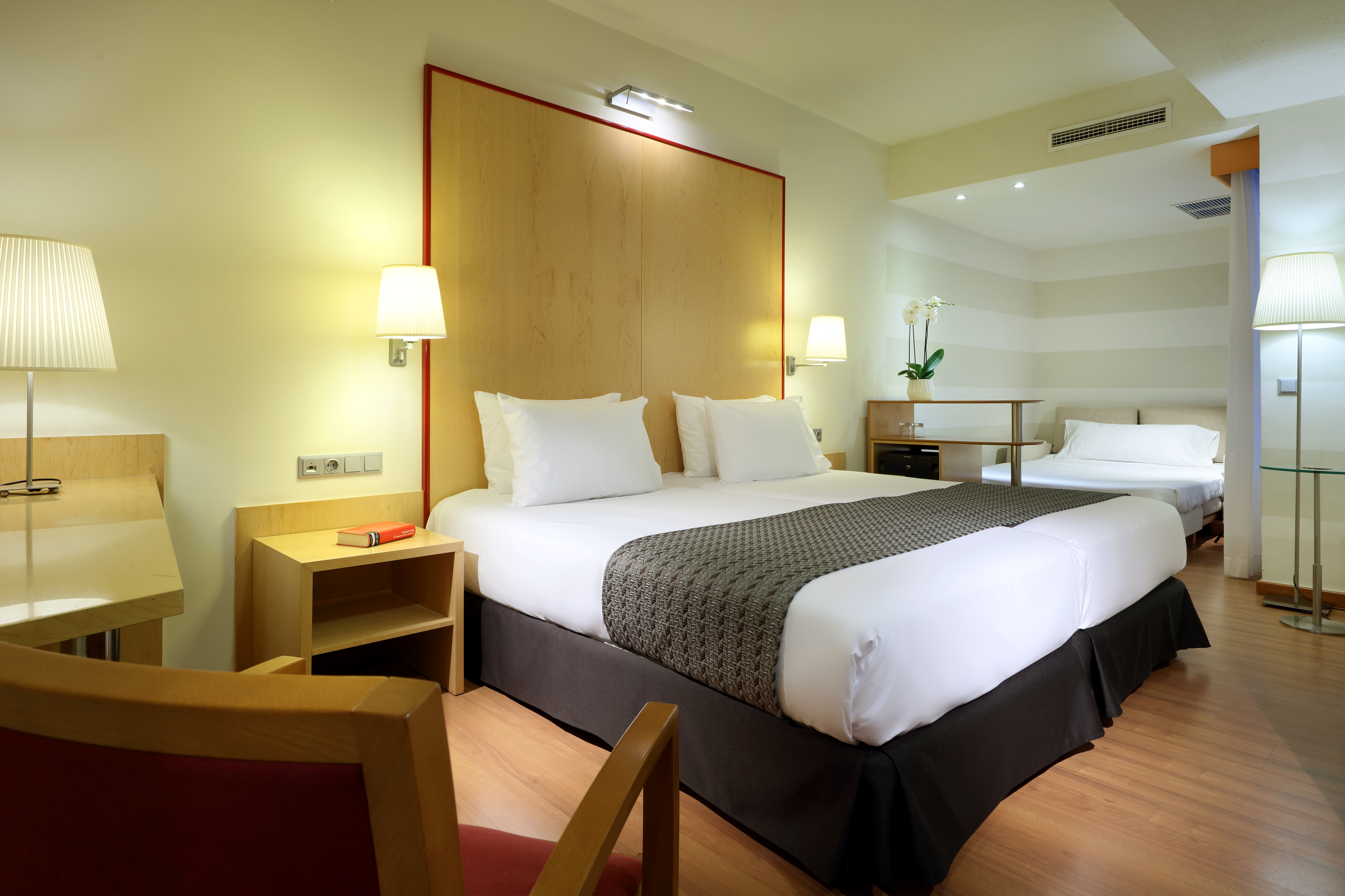 Double or Twin Standard