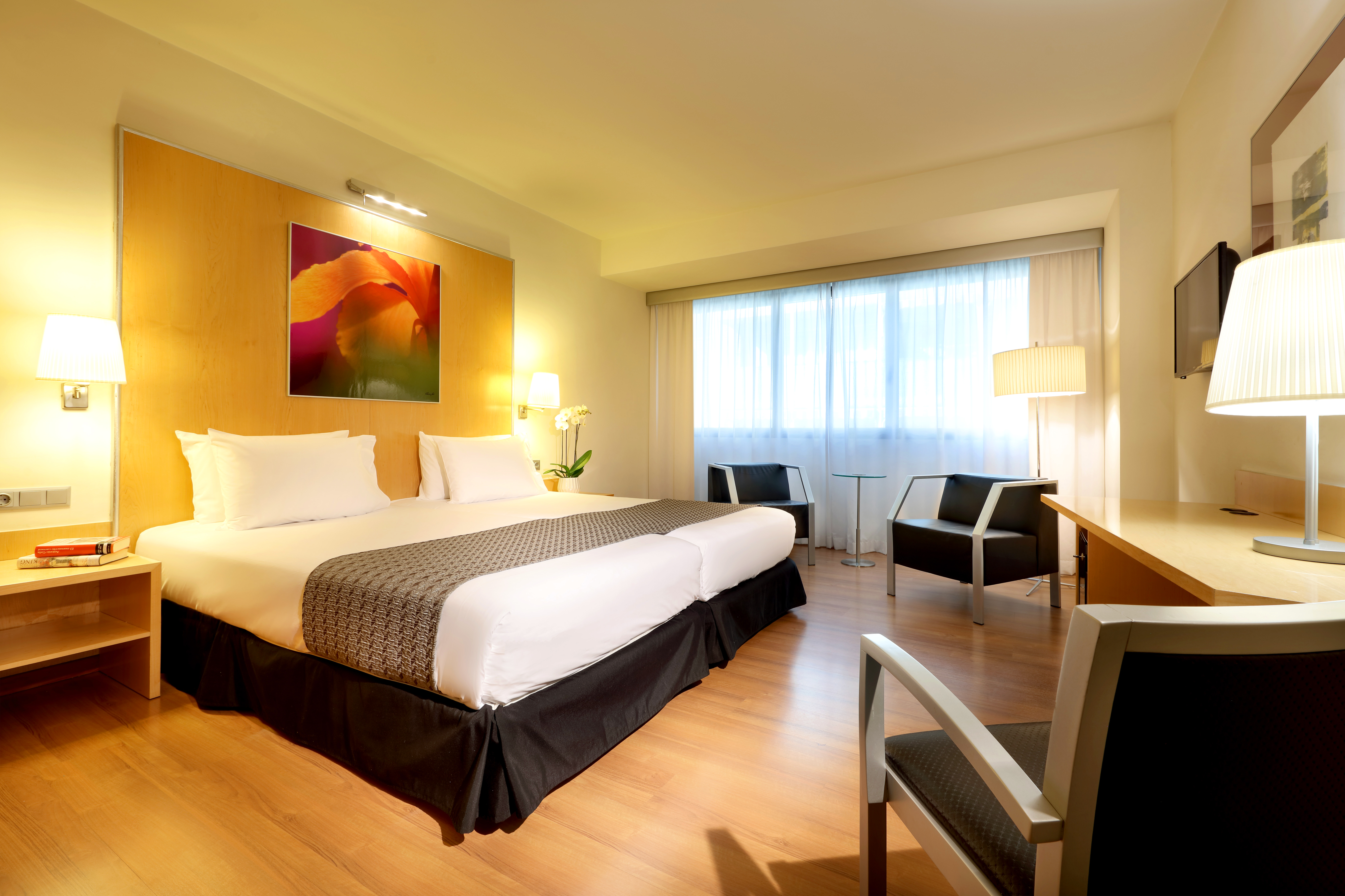 Double or Twin Standard