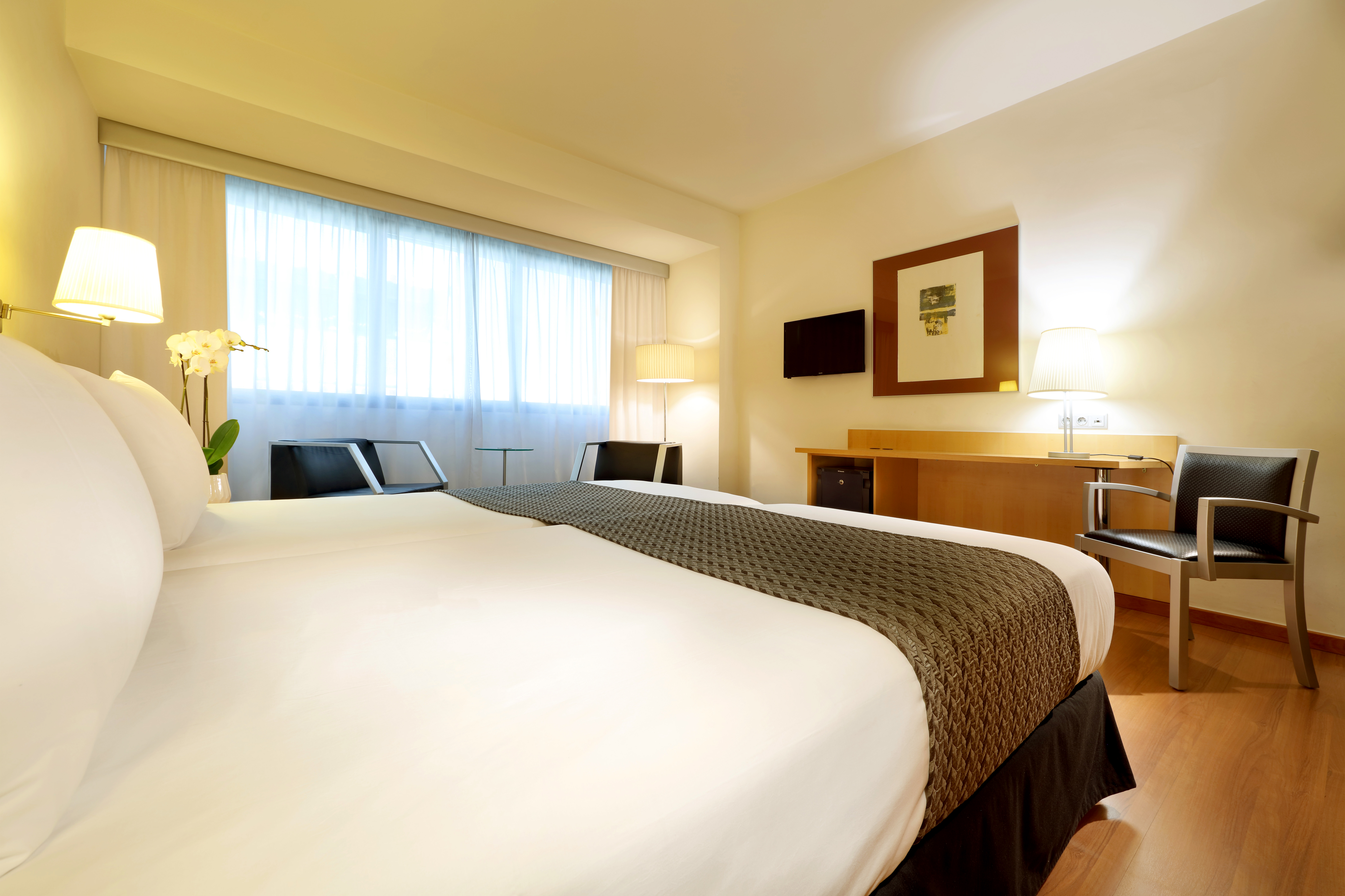 Double or Twin Standard