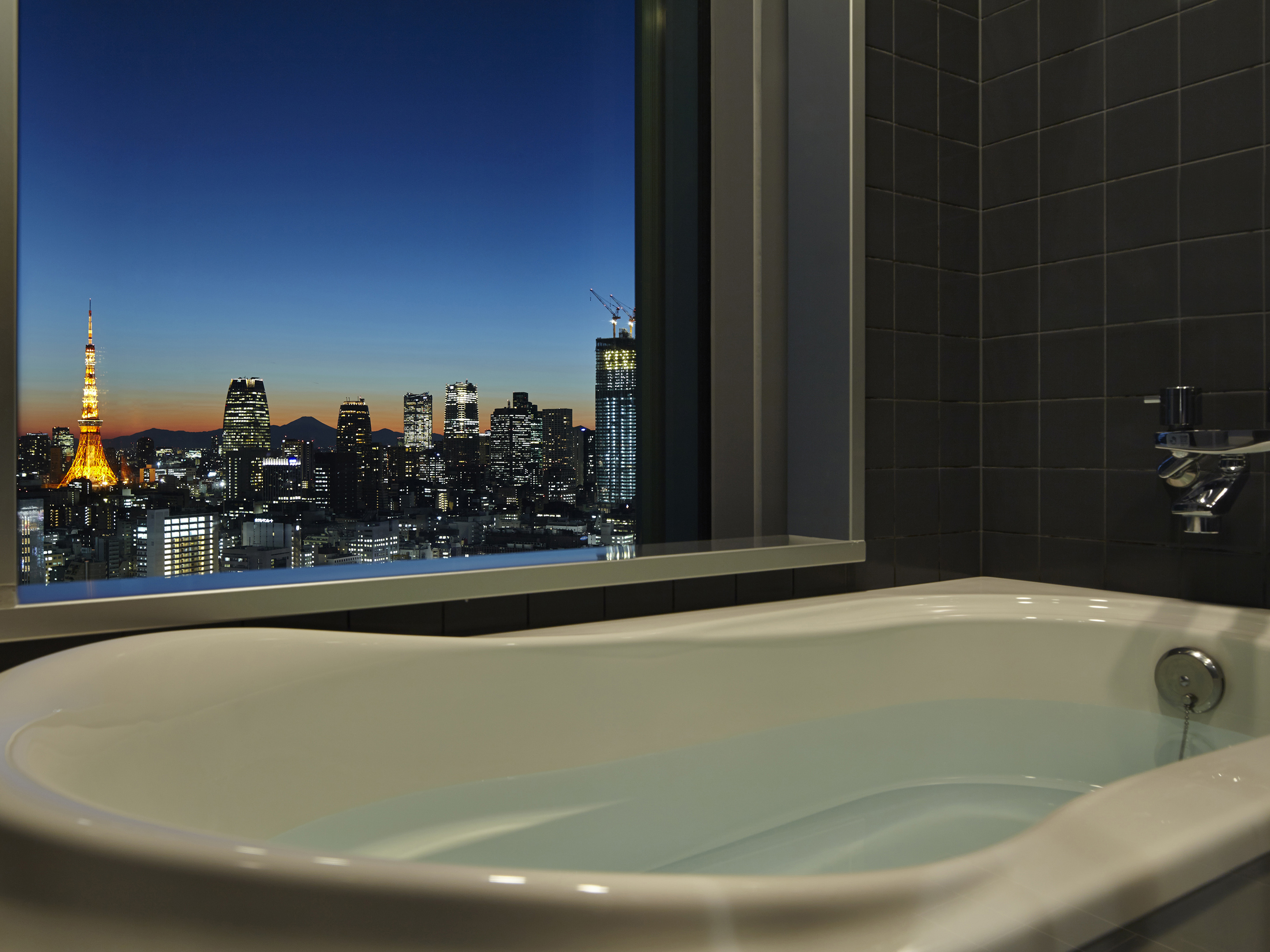 Double Queen Size Bed