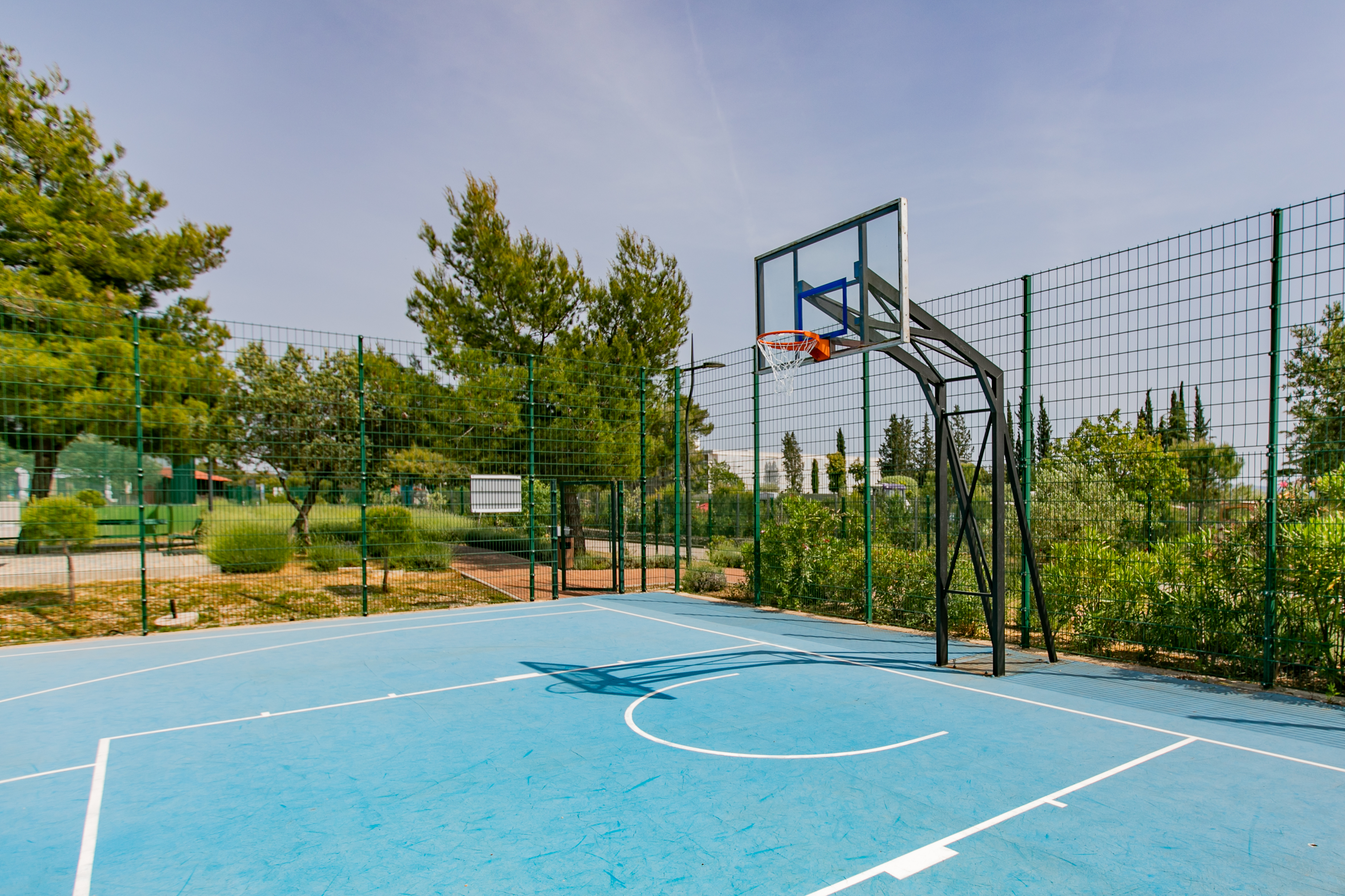 Sports and Entertainment