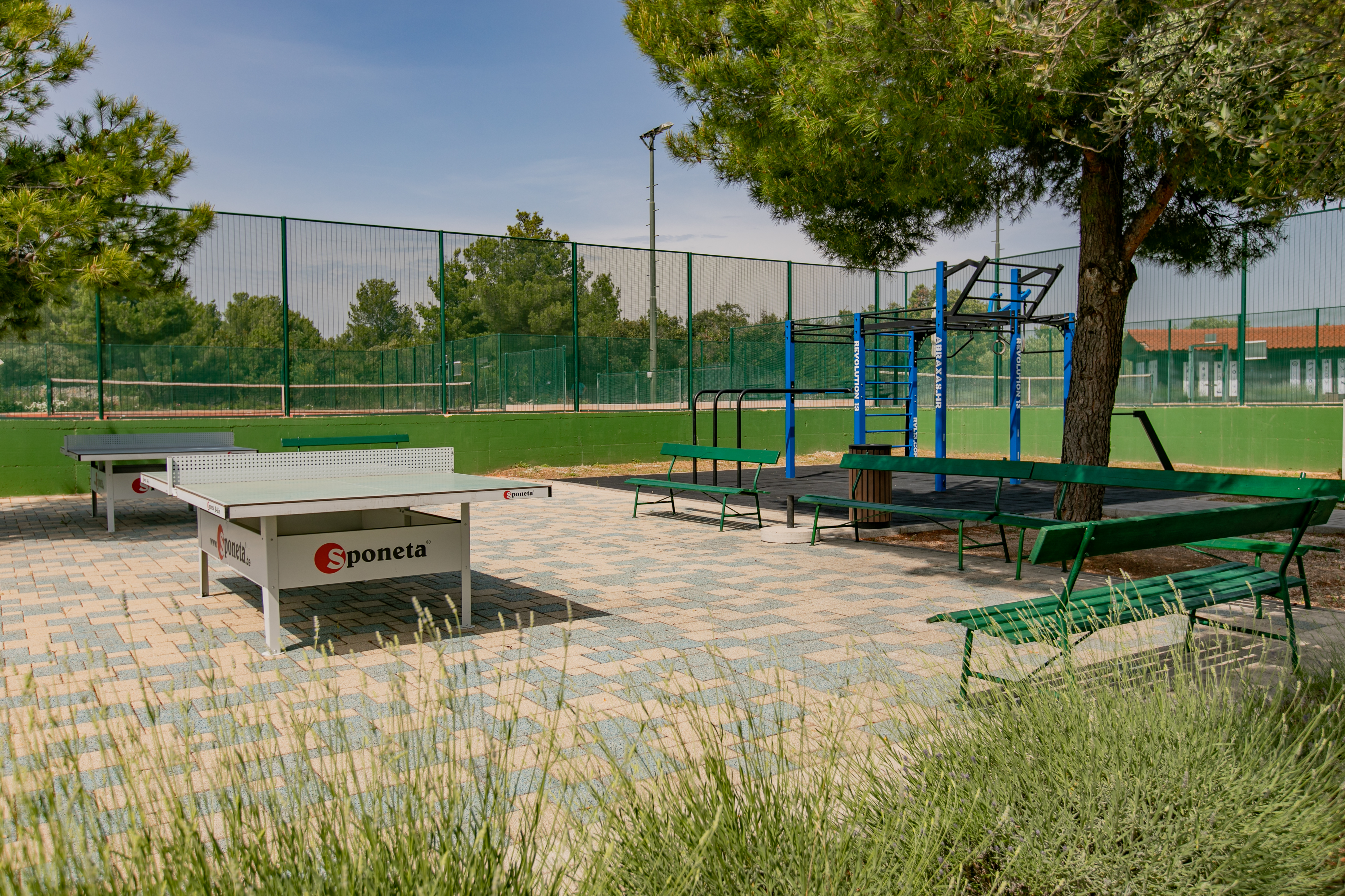 Sports and Entertainment