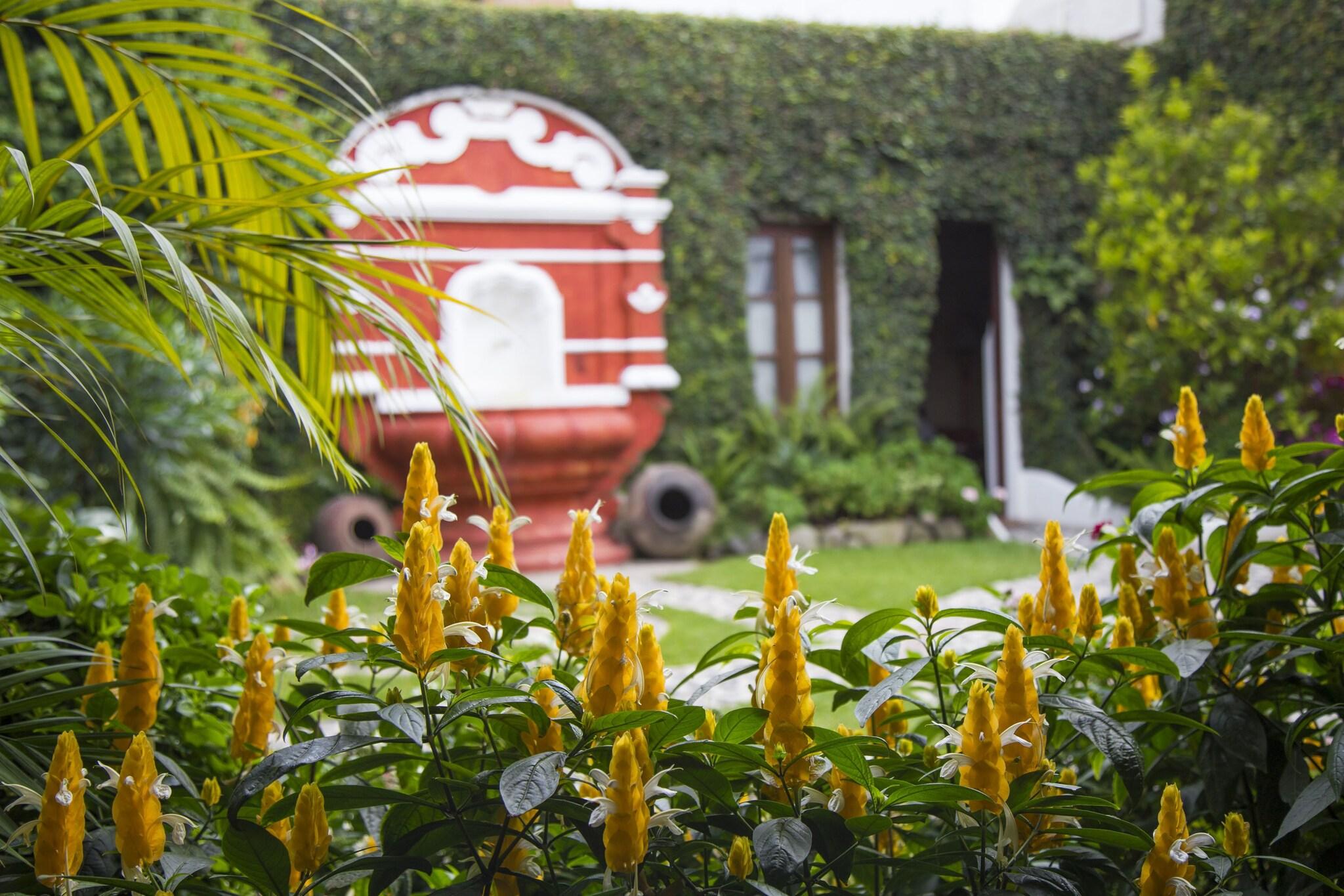 Suite Superior Queen Bed