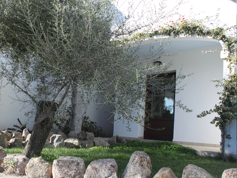 Double or Twin Classic