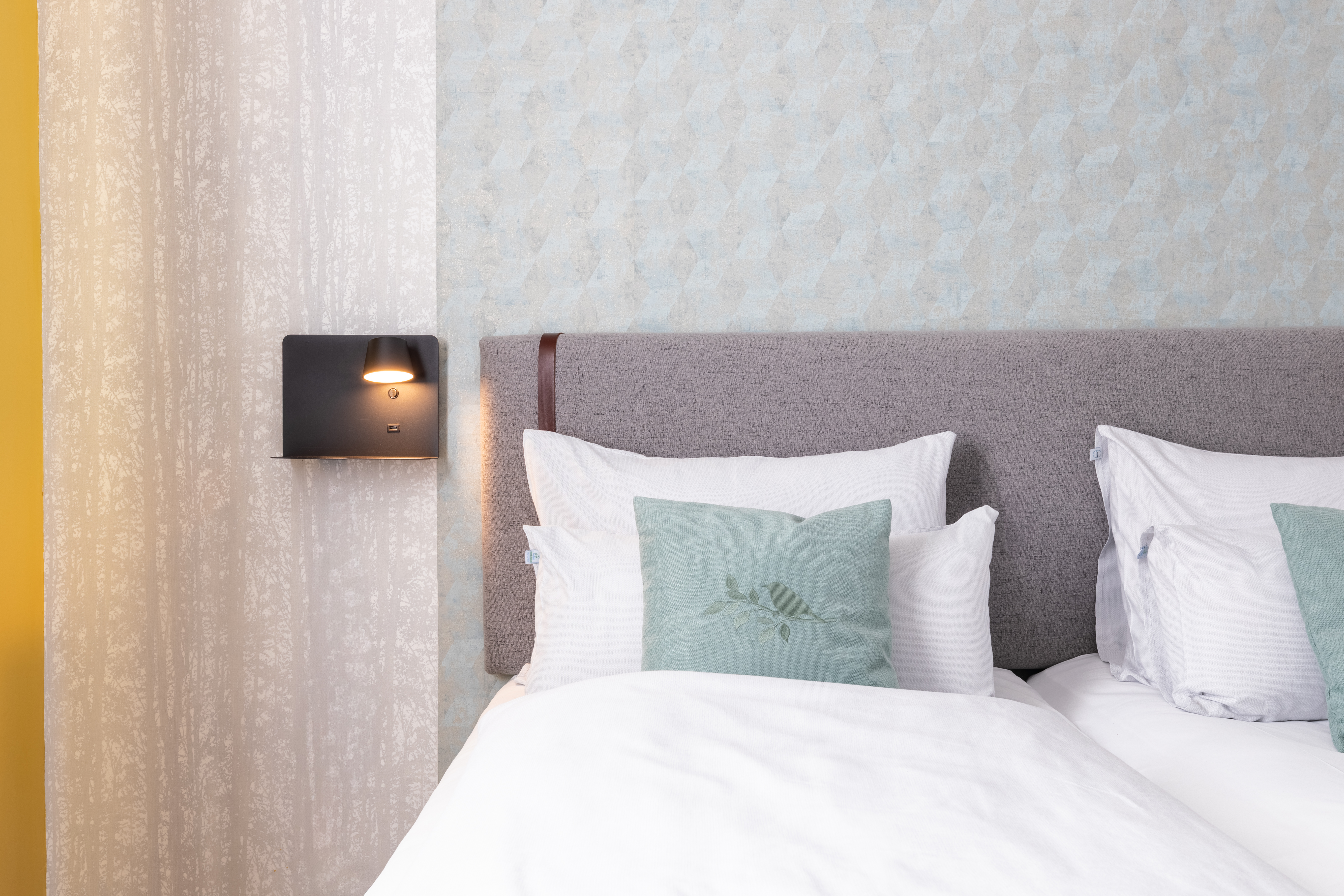 Double or Twin Standard