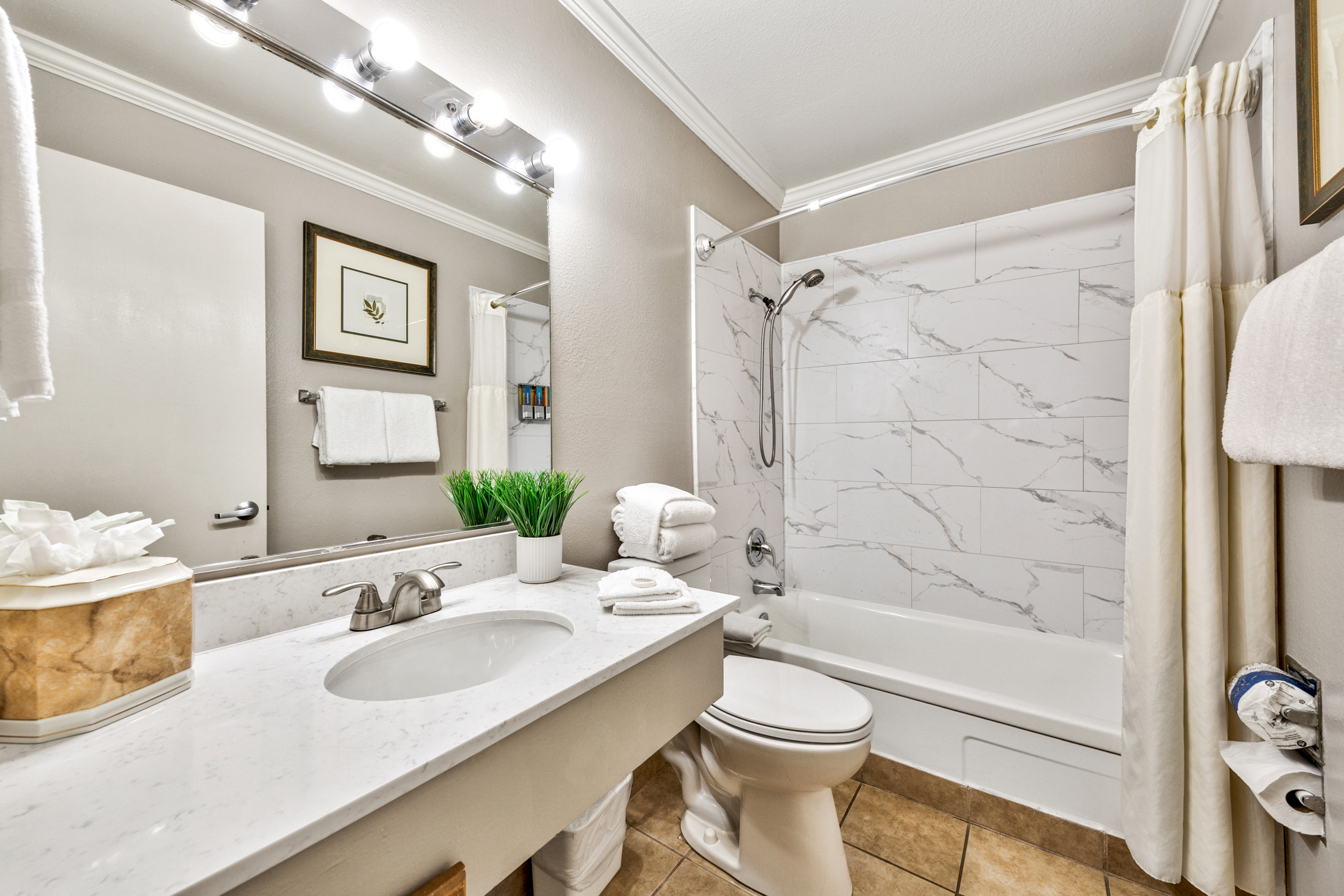 Suite Accesible Deluxe 