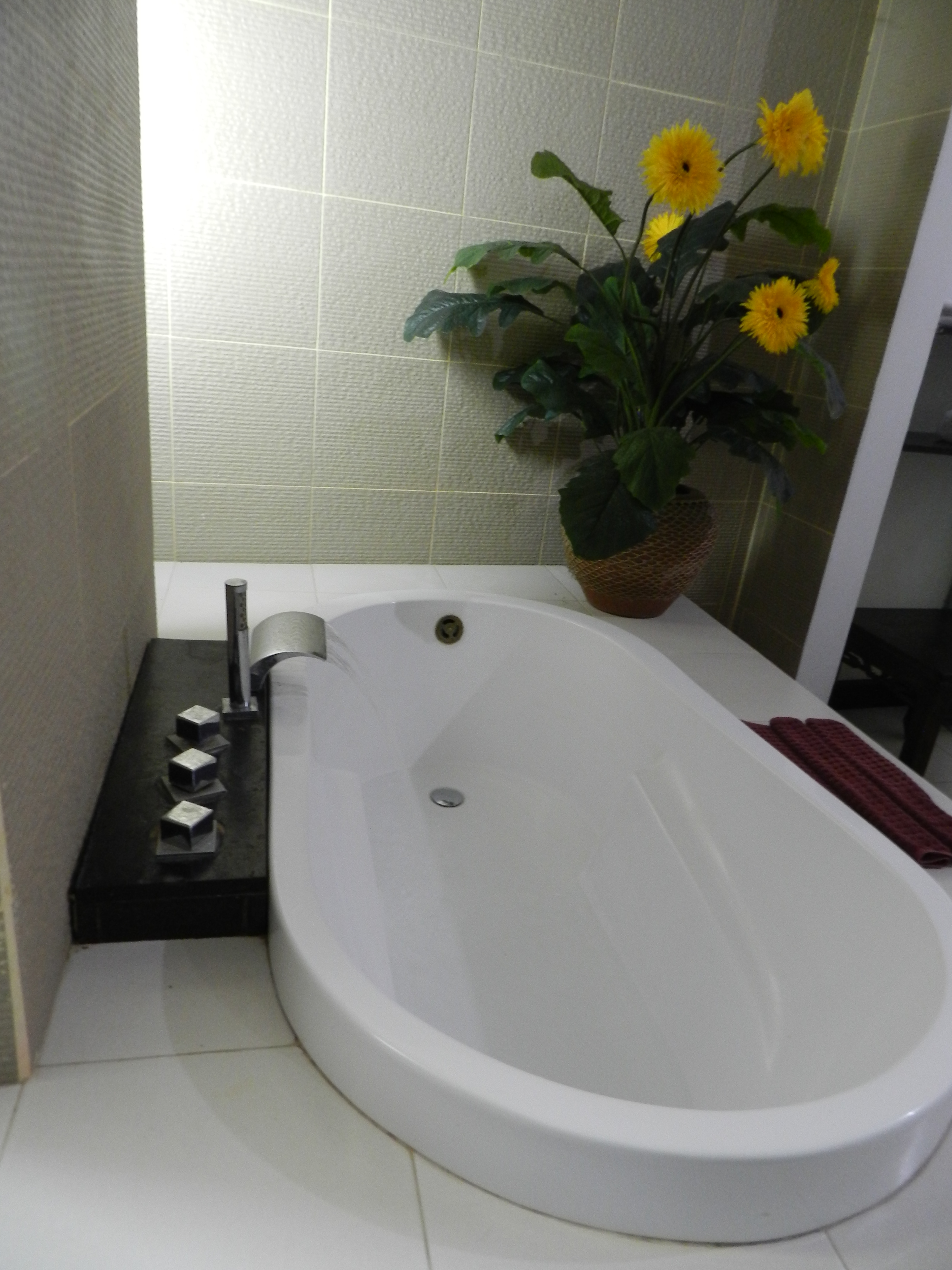 Family Room Two Beds