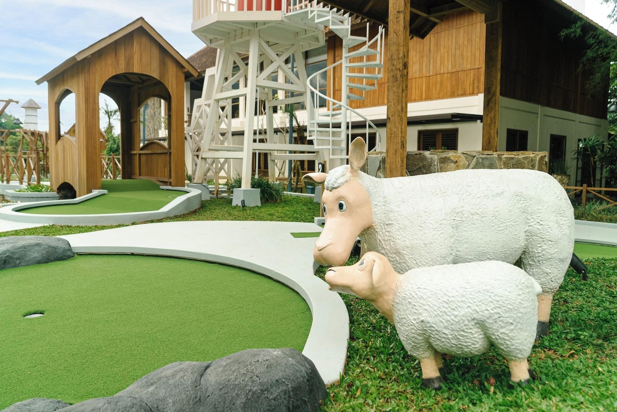 Sports and Entertainment