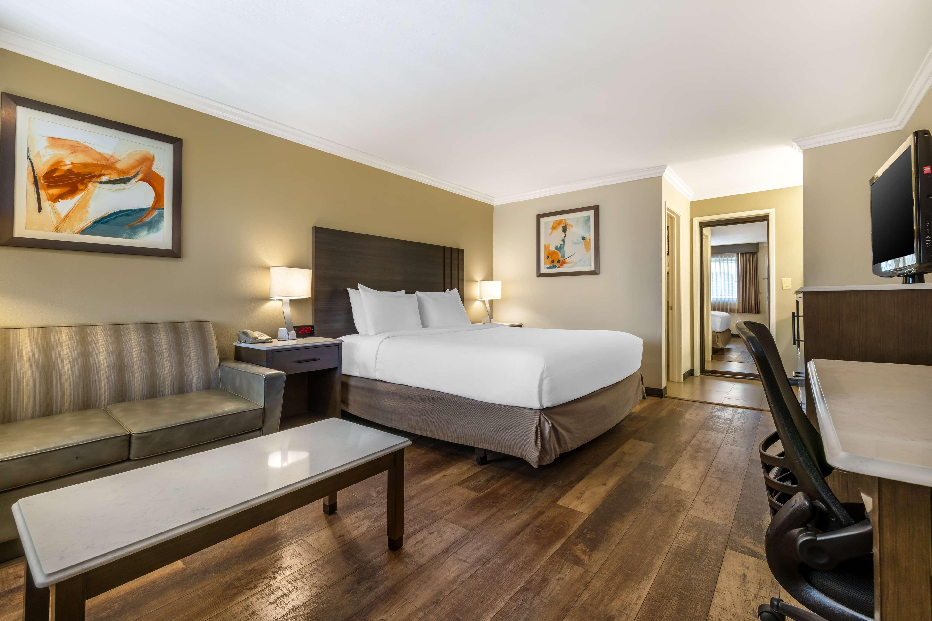 Room King Bed Non Smoking