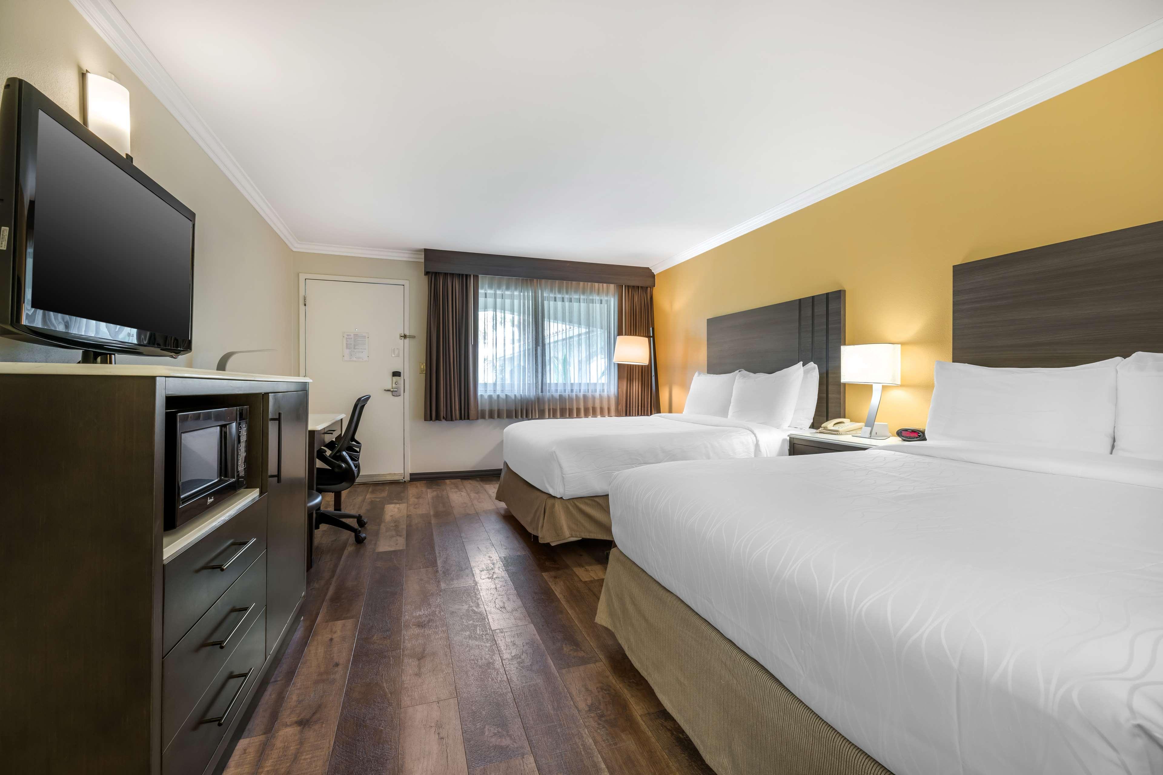 Room Two Queen Beds Non Smoking