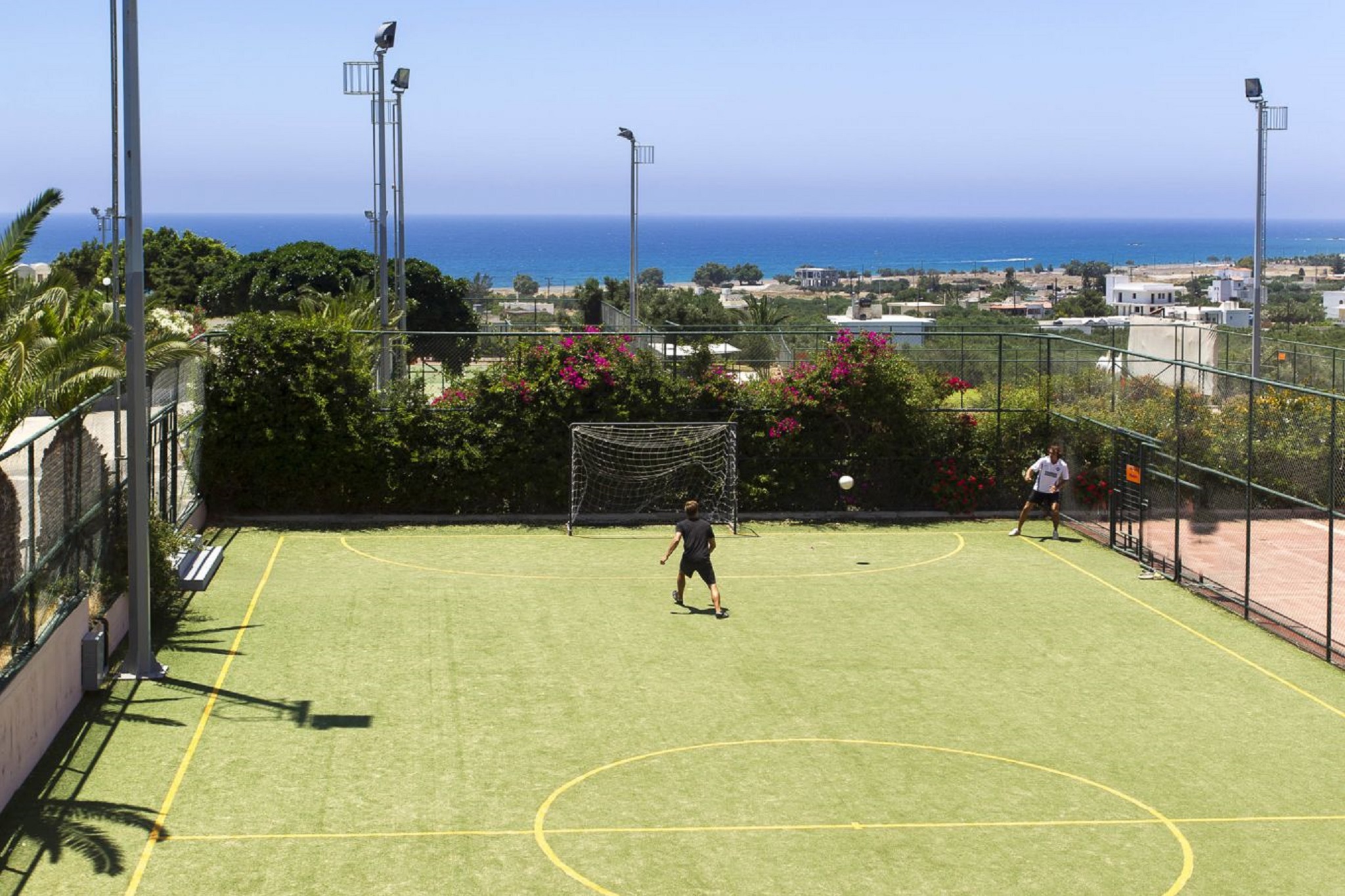 Sports and Entertainment