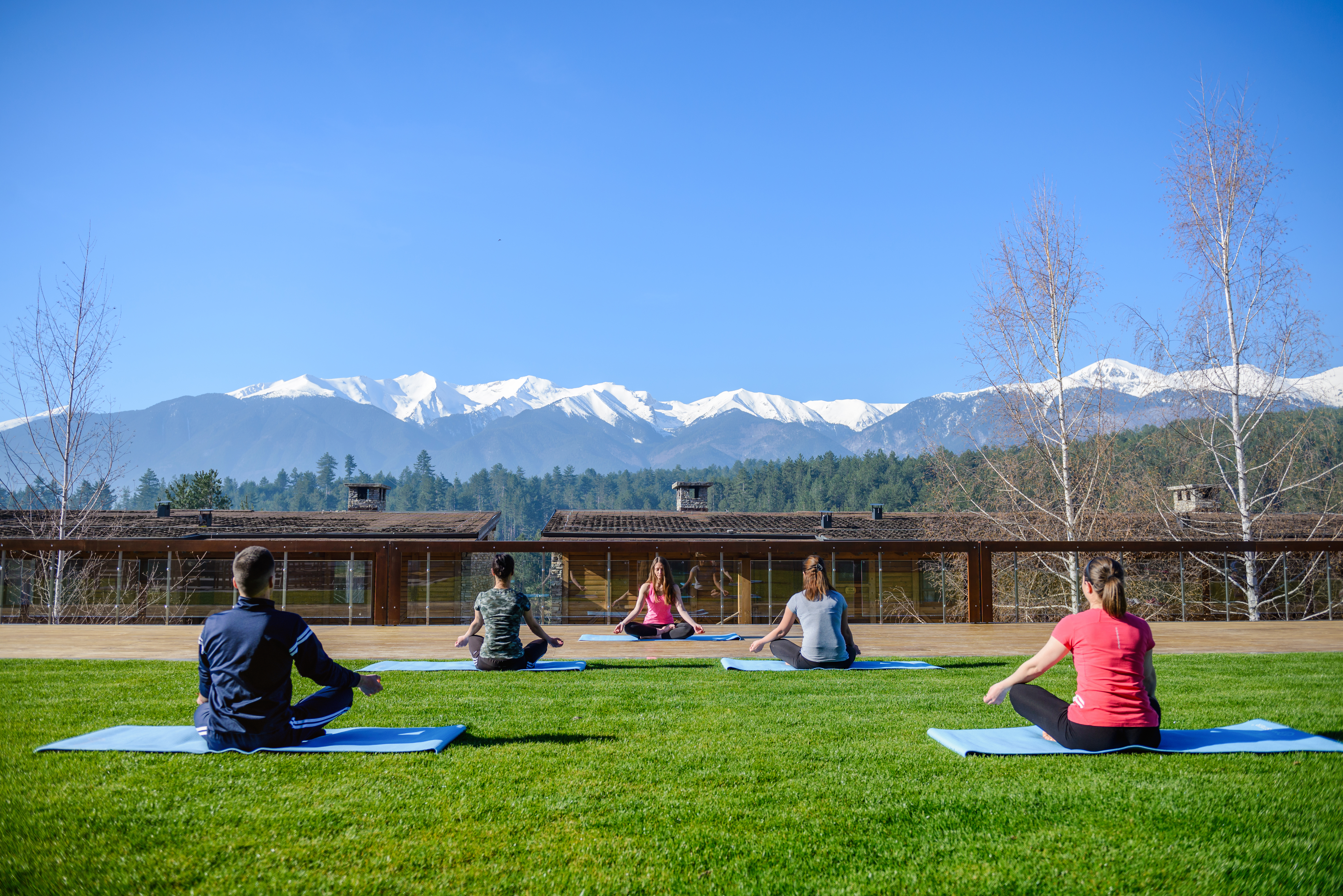 Sports and Entertainment