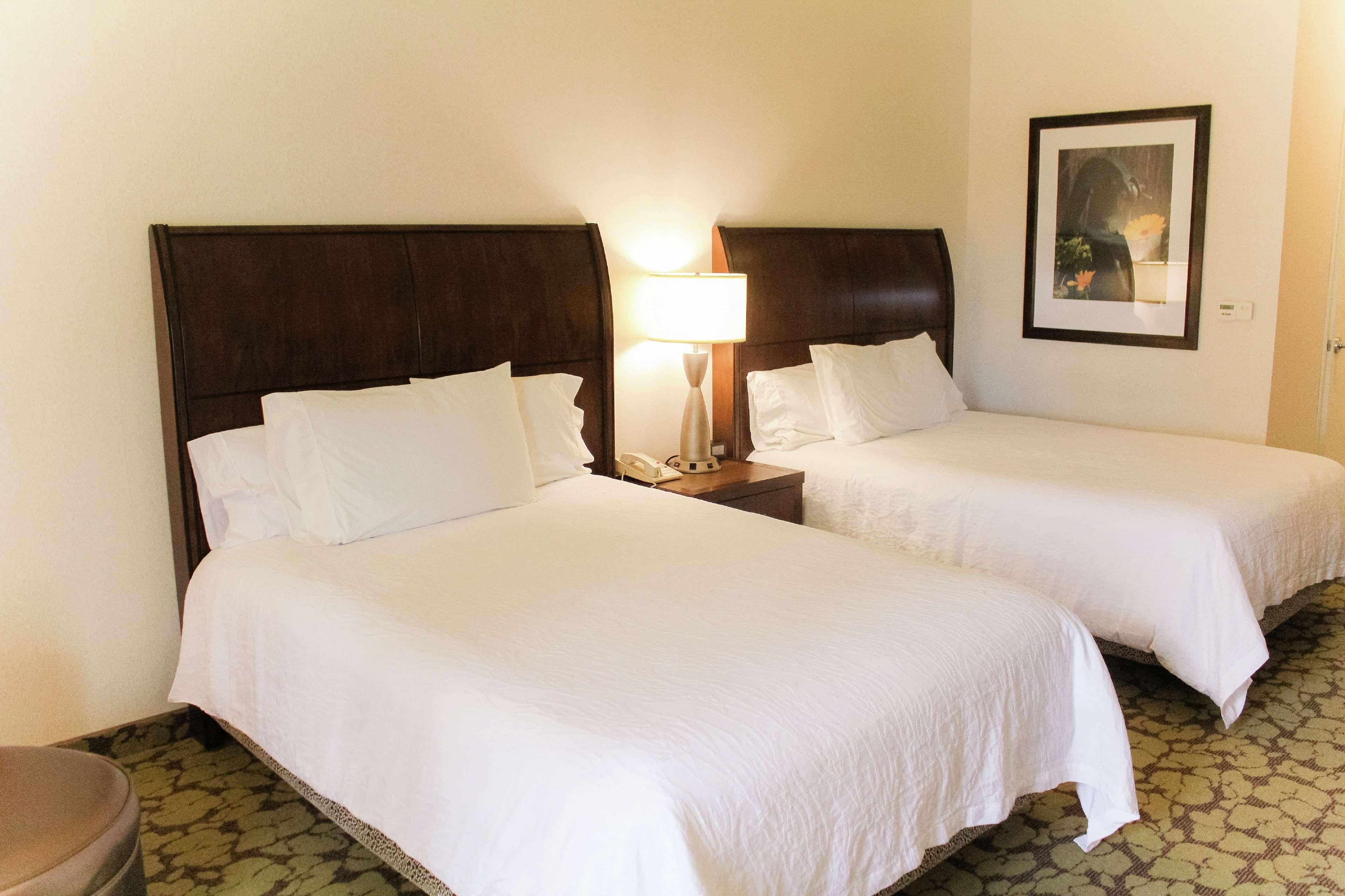 Double Two Queen Beds