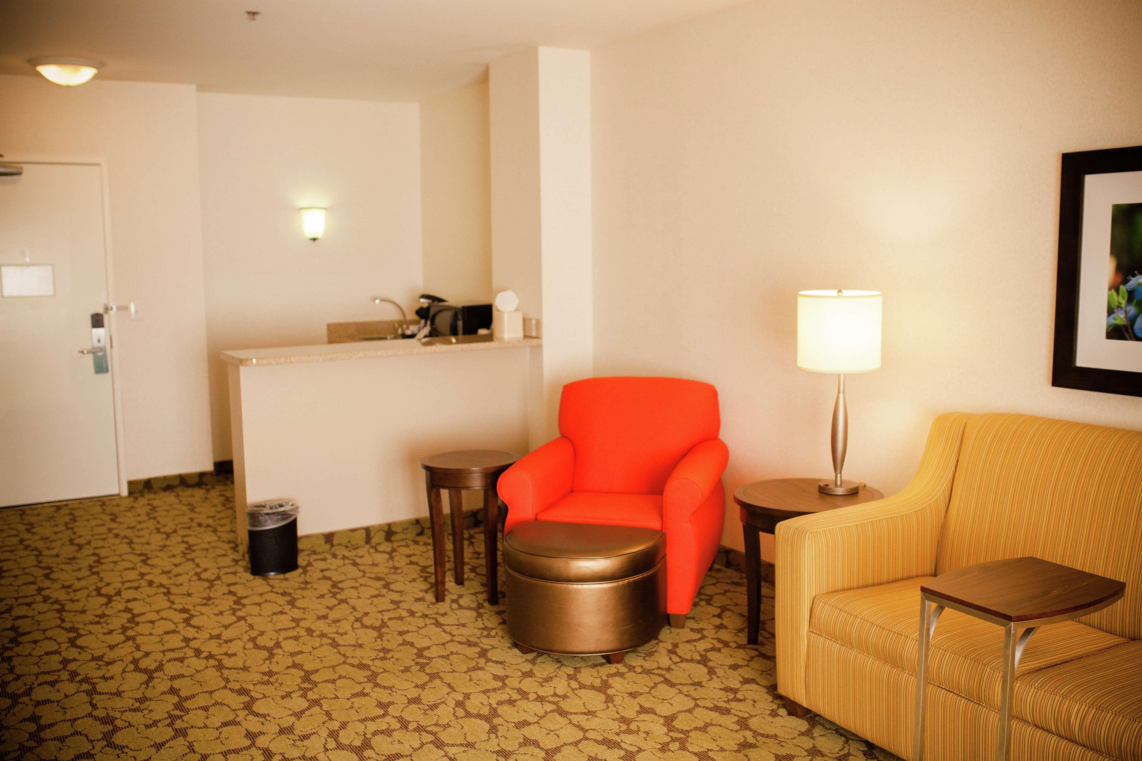 Suite King Bed One Bedroom 