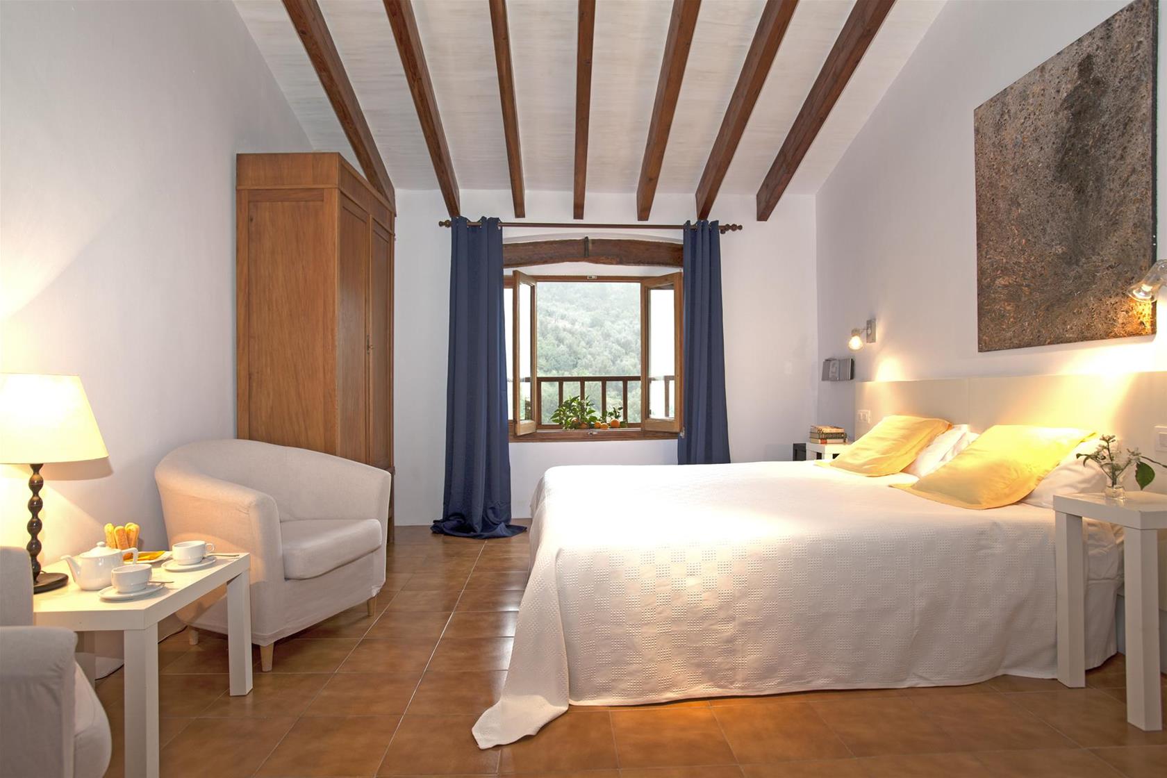 Double or Twin Mountain View