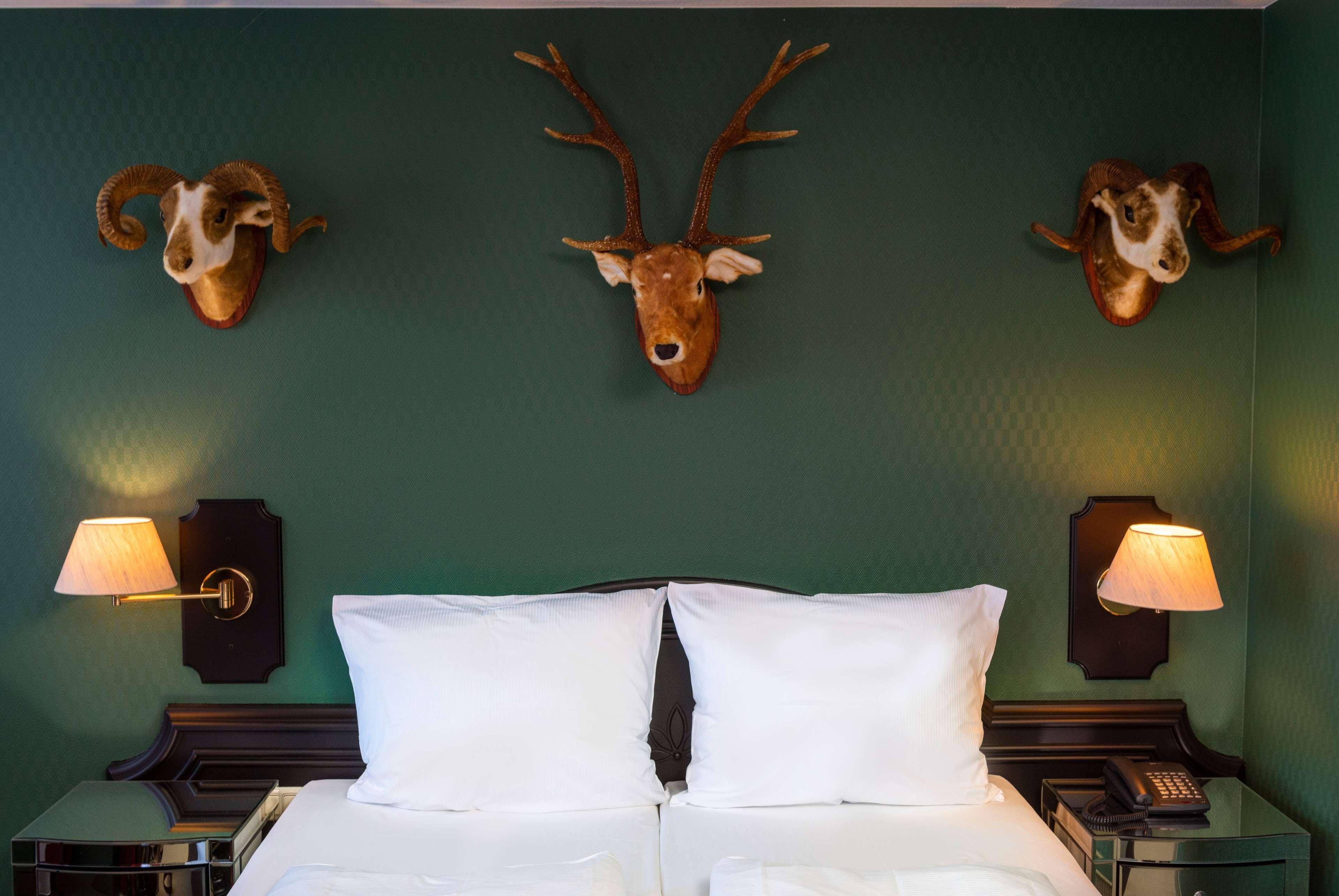 Double or Twin Comfort