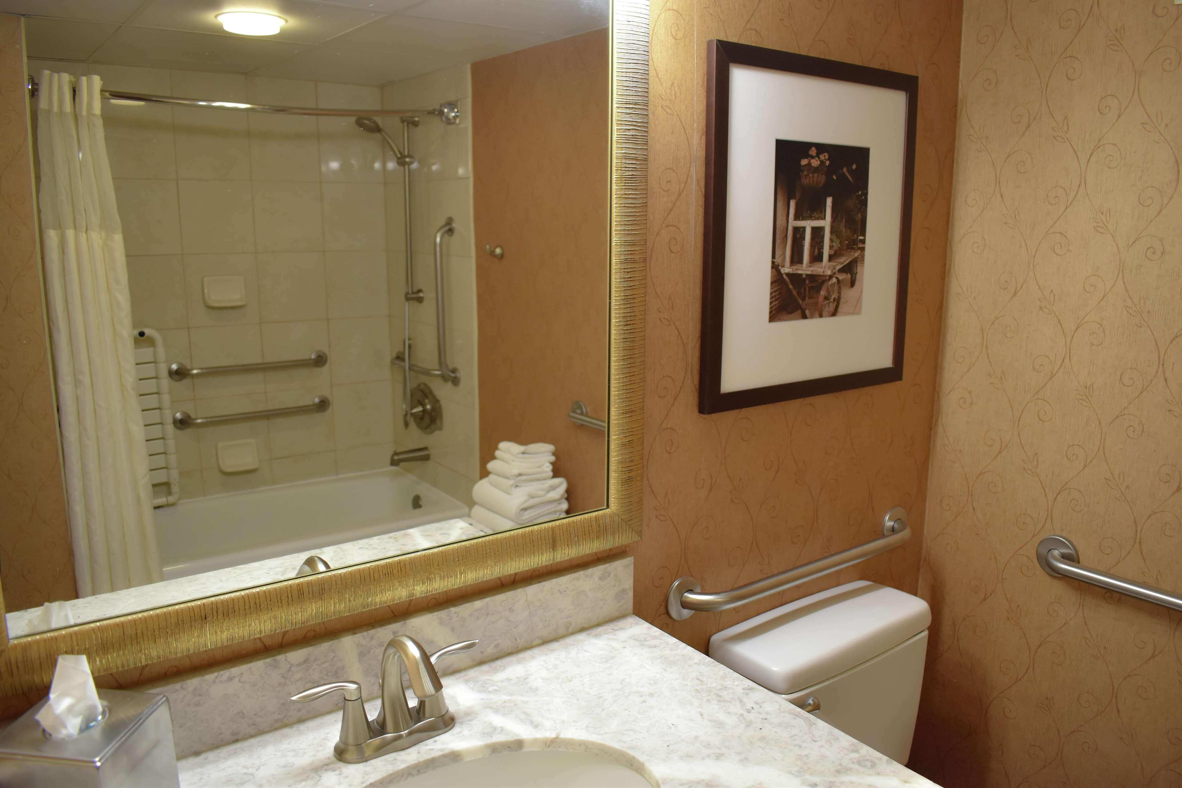 Suite King Bed One Bedroom 