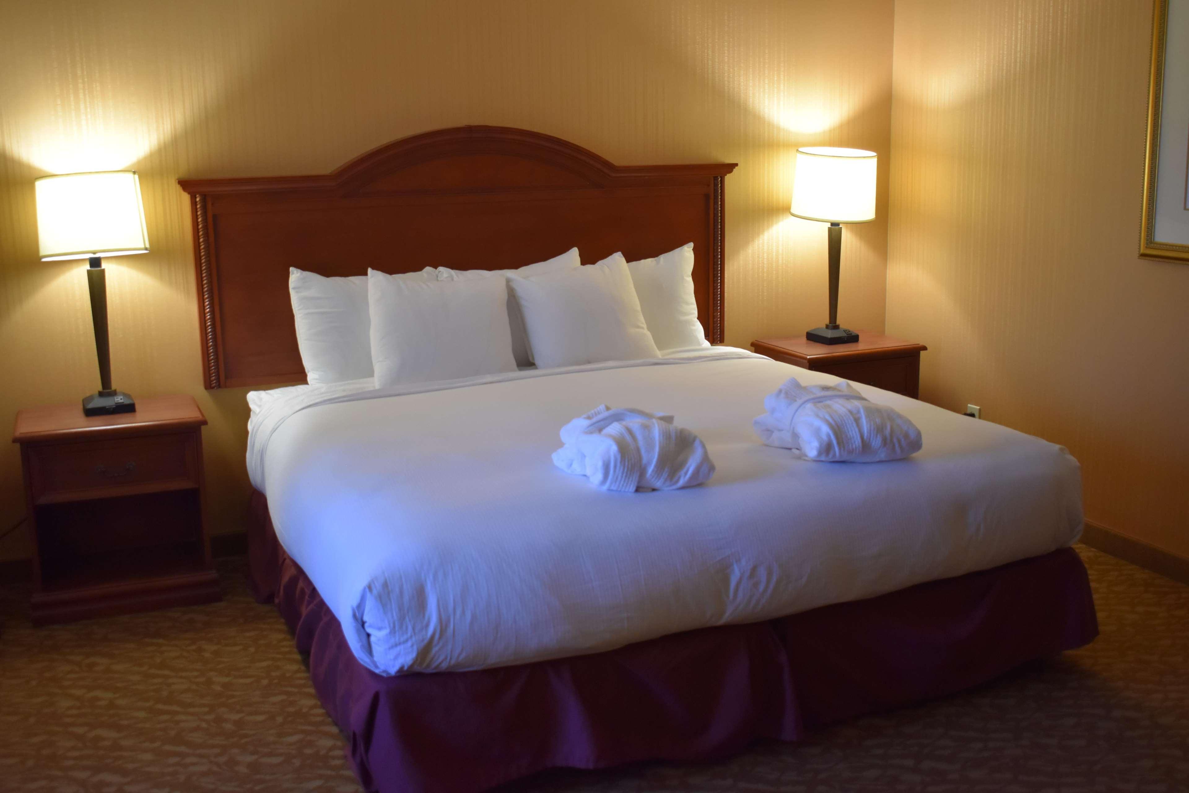 Suite King Bed Non Smoking