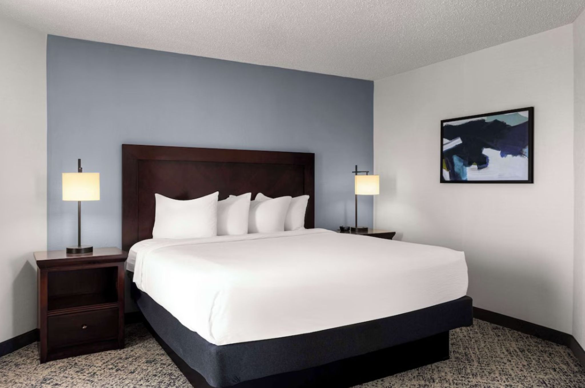 Suite King Bed Non Smoking