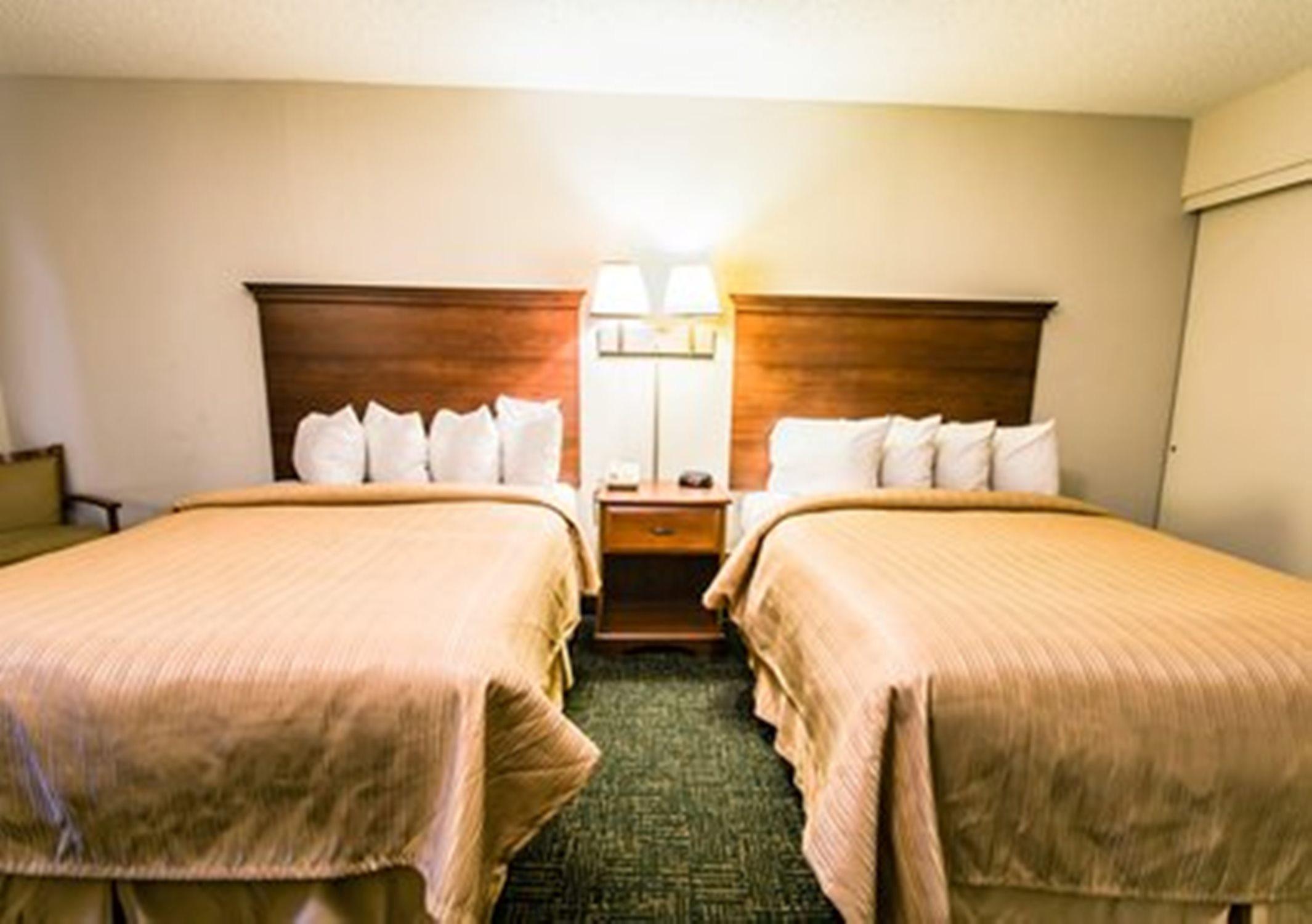 Suite Deluxe Queen Bed