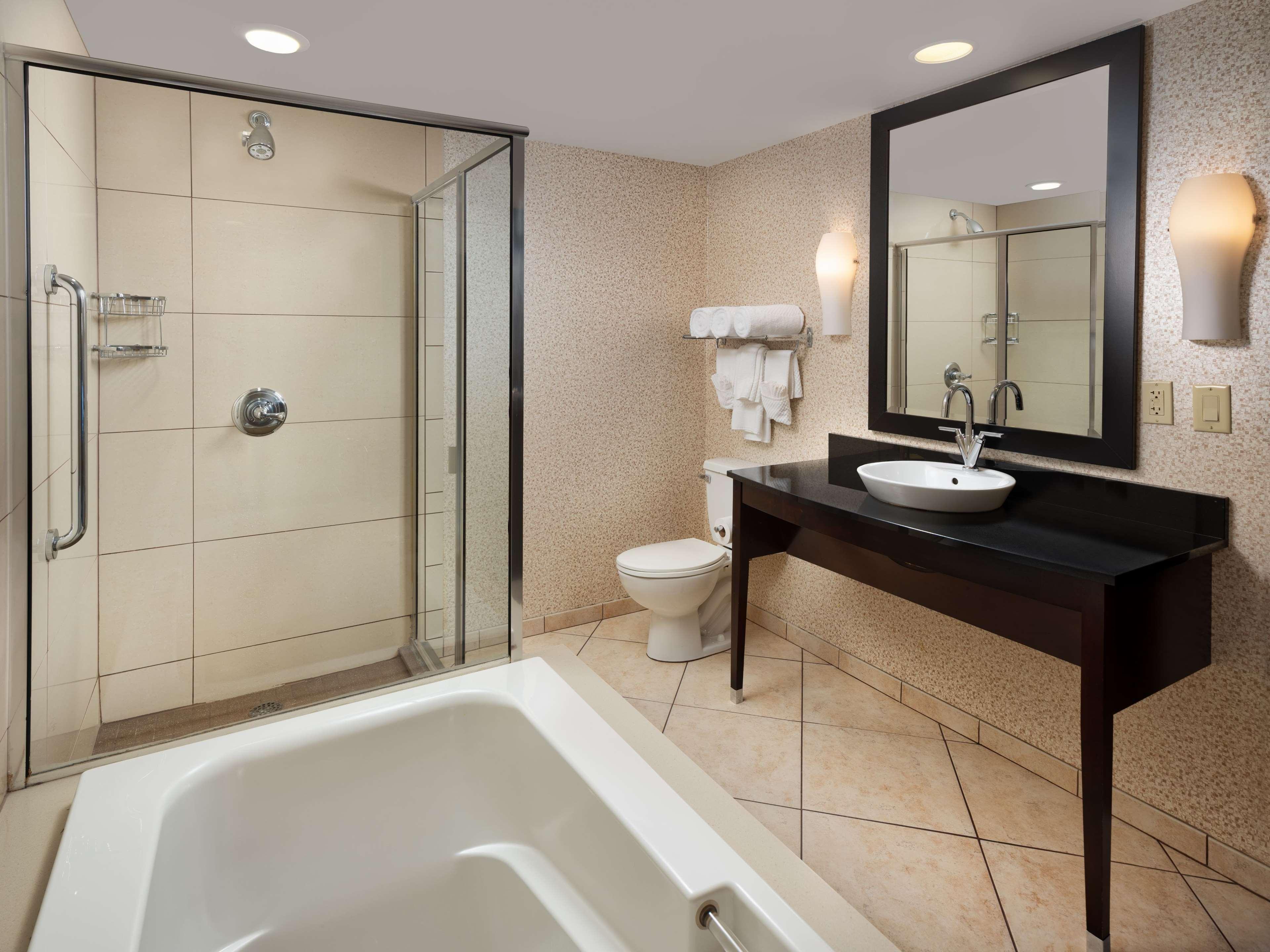 Suite King Bed Non Smoking