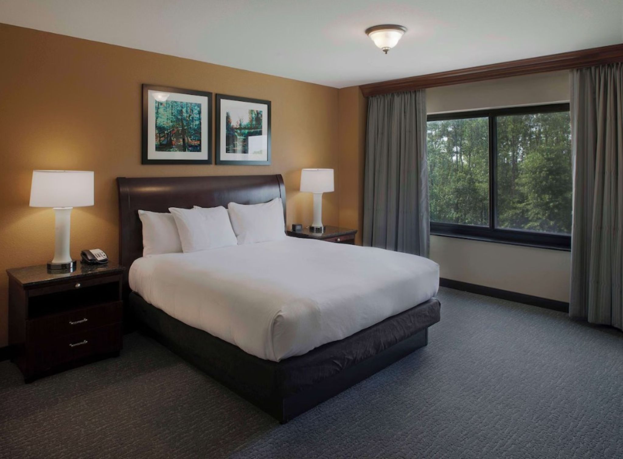 Double Deluxe King Bed