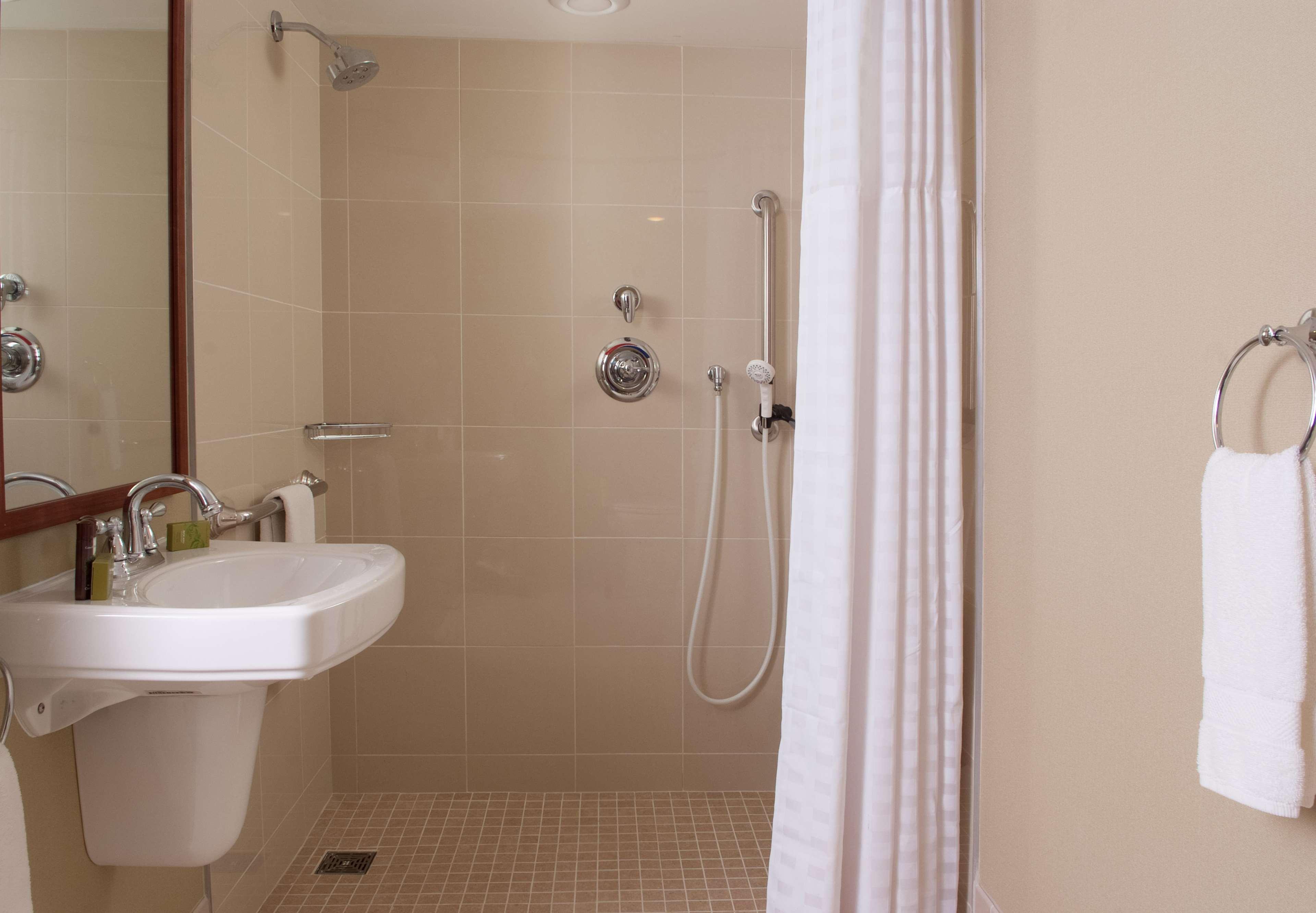 Suite King Bed One Bedroom 