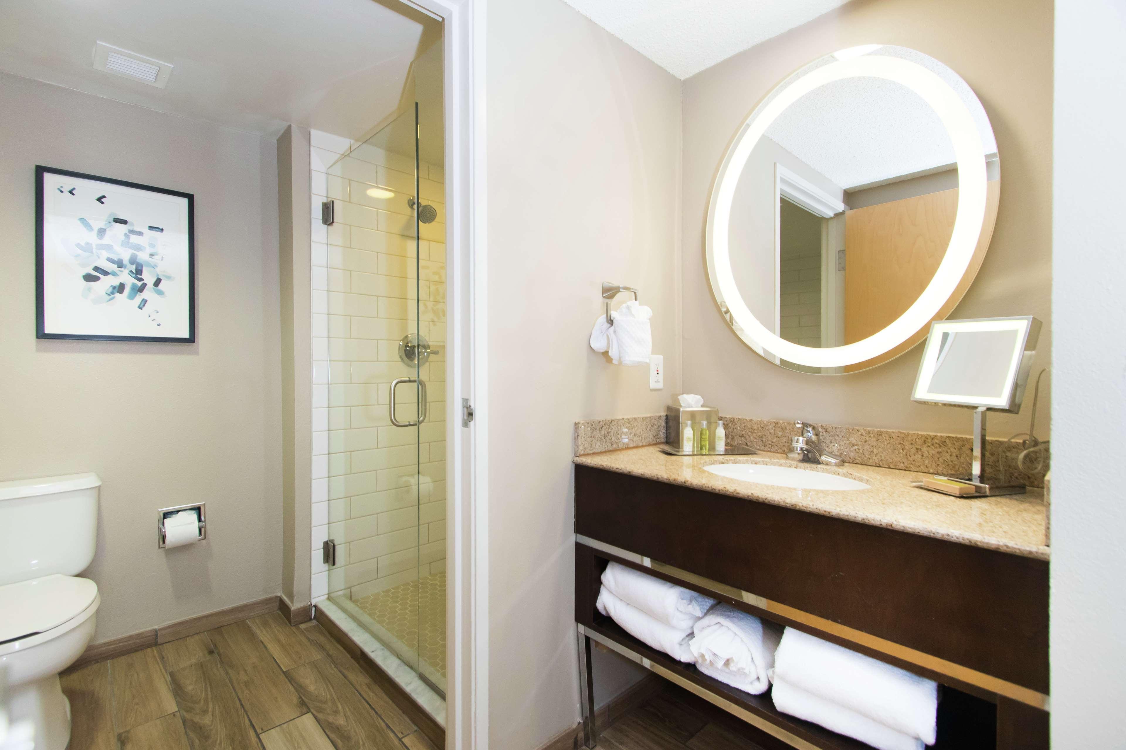 Suite King Bed One Bedroom 