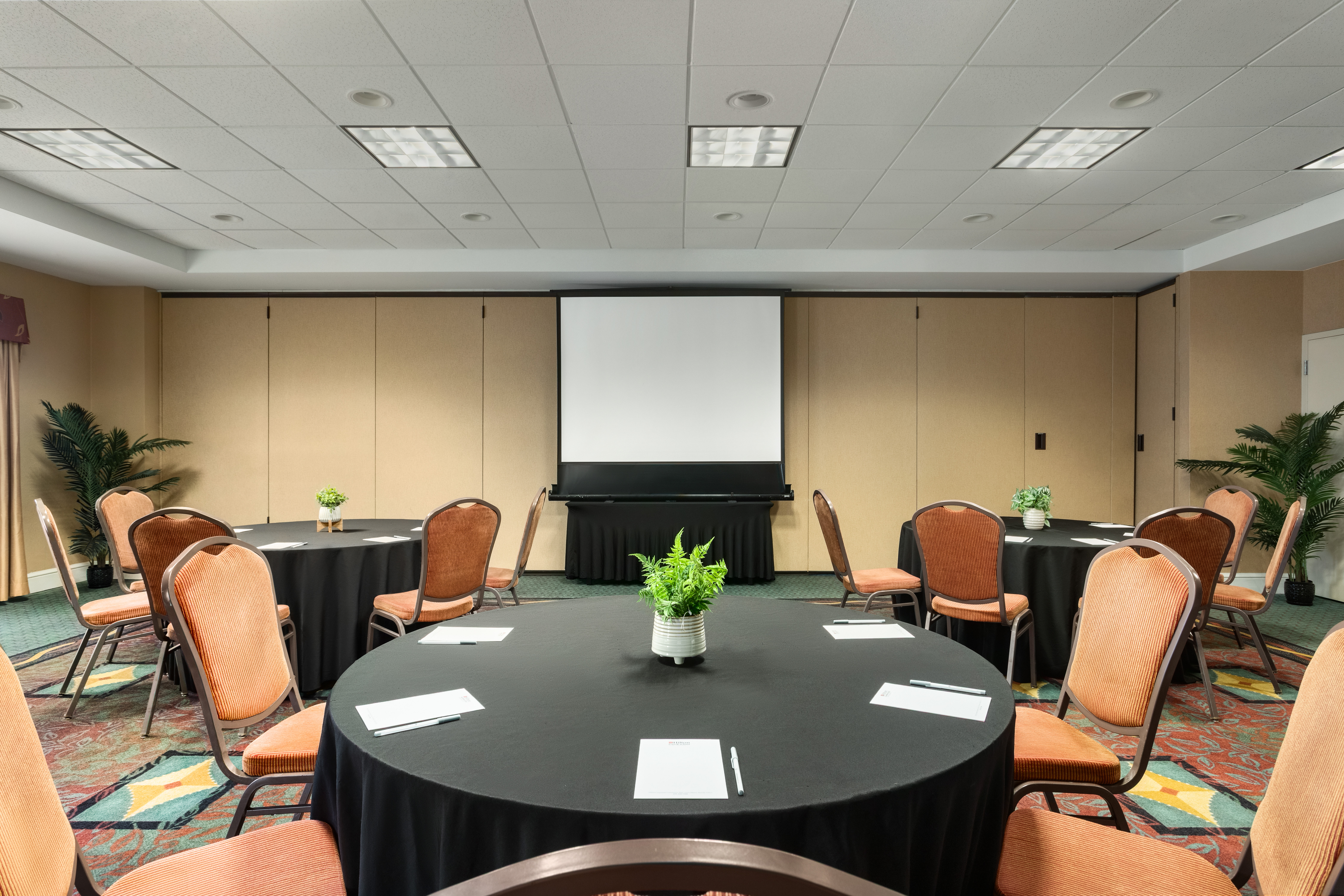 Conferences
