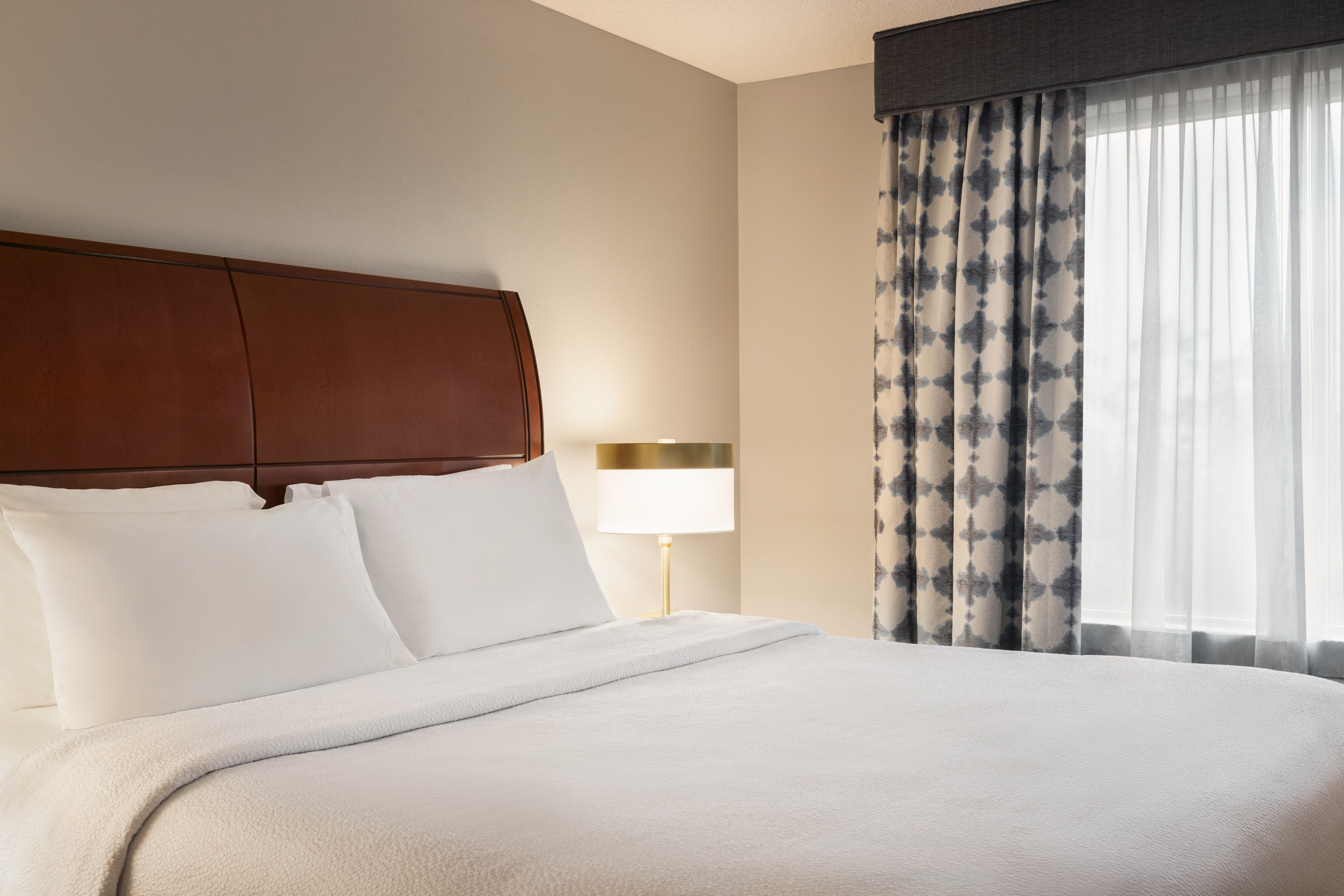 Suite King Bed One Bedroom 