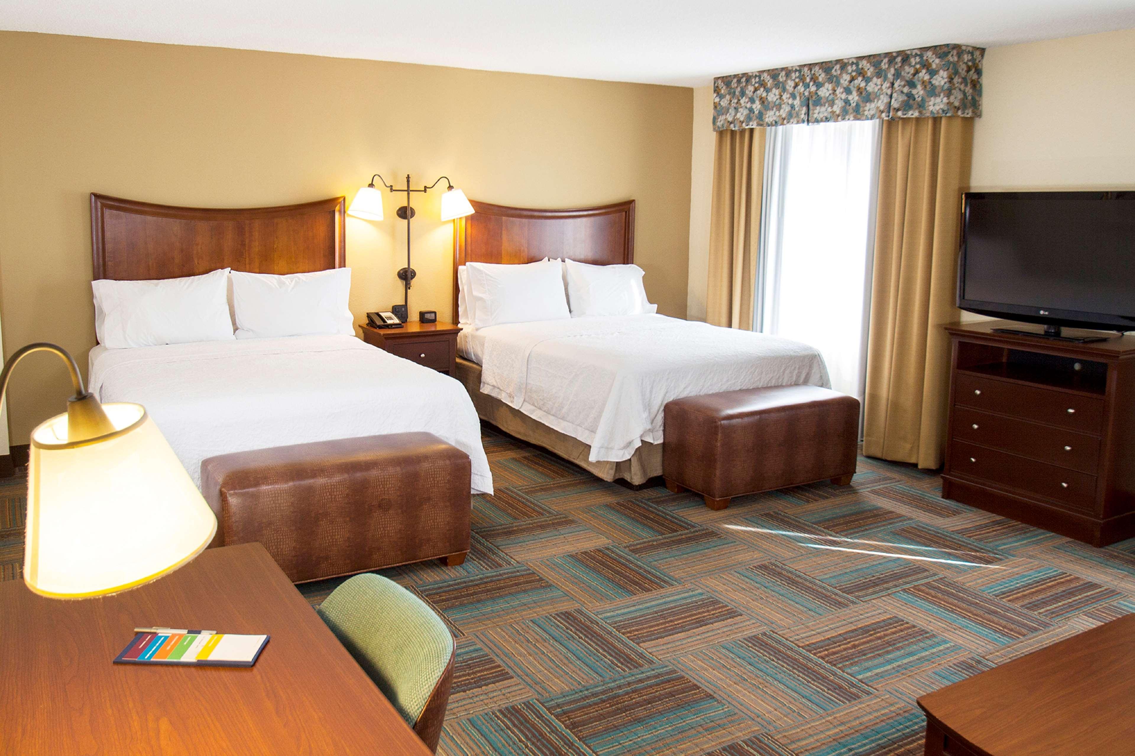 Studio Two Queen Beds