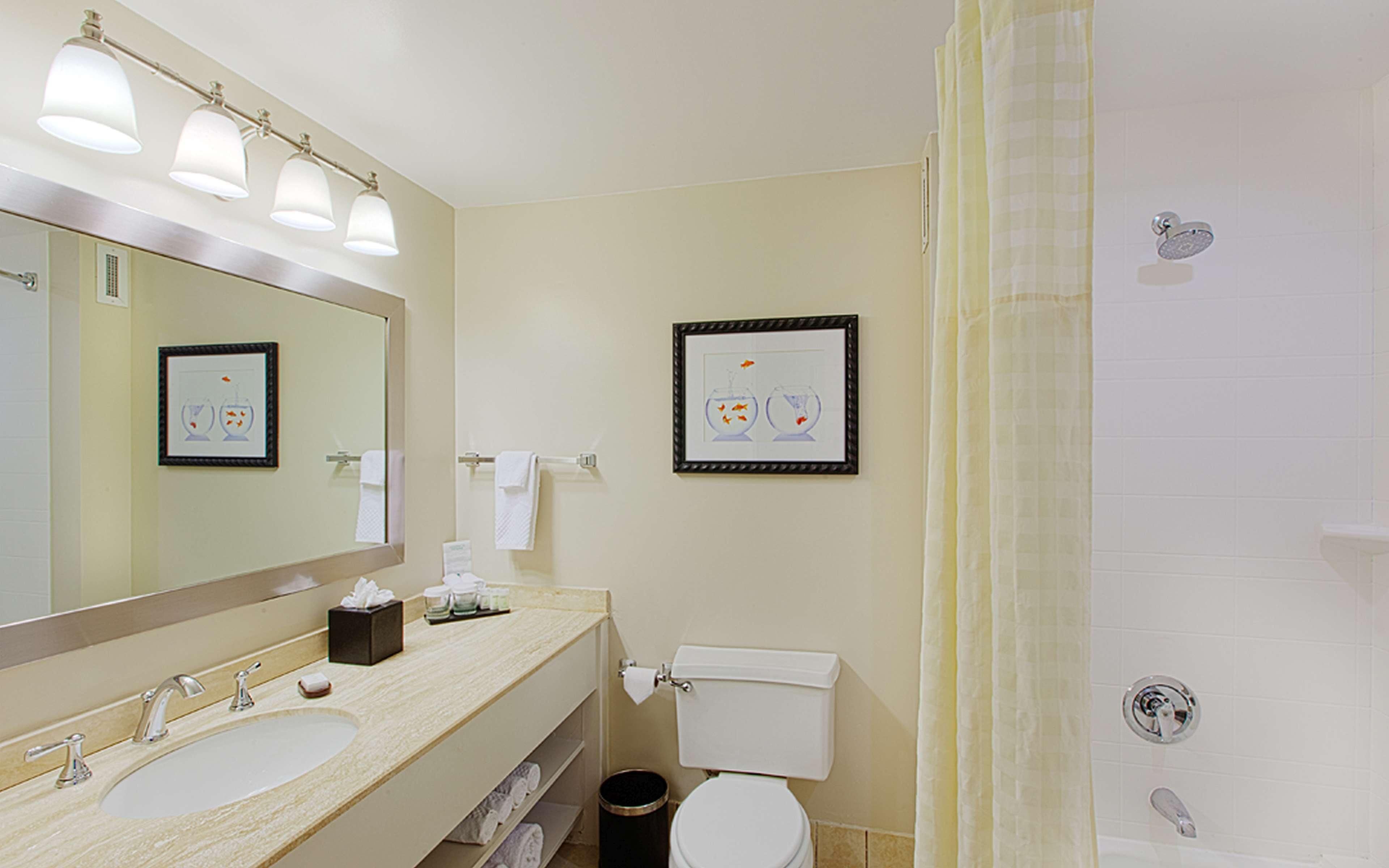 Suite Standard