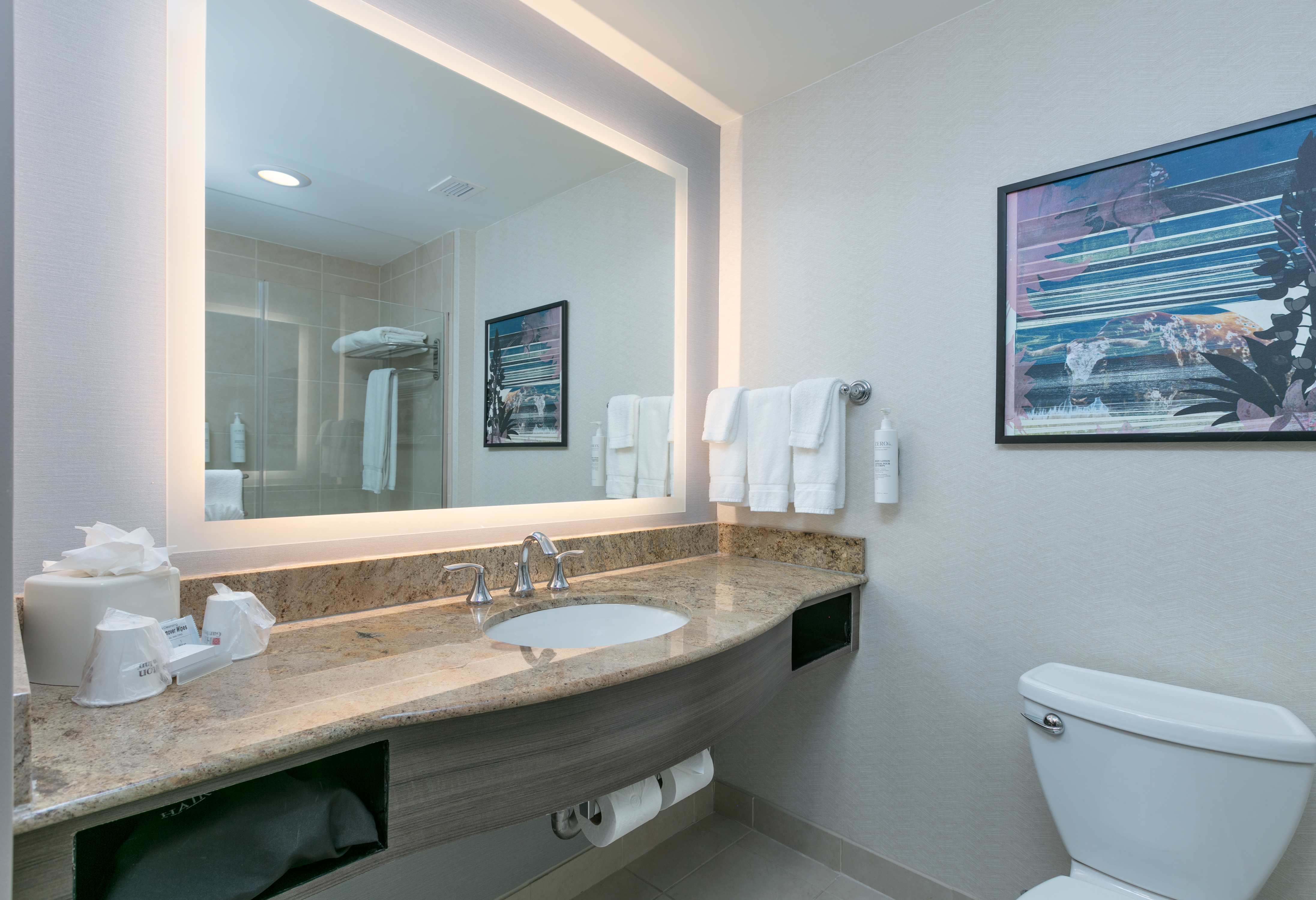 Double City View King Bed